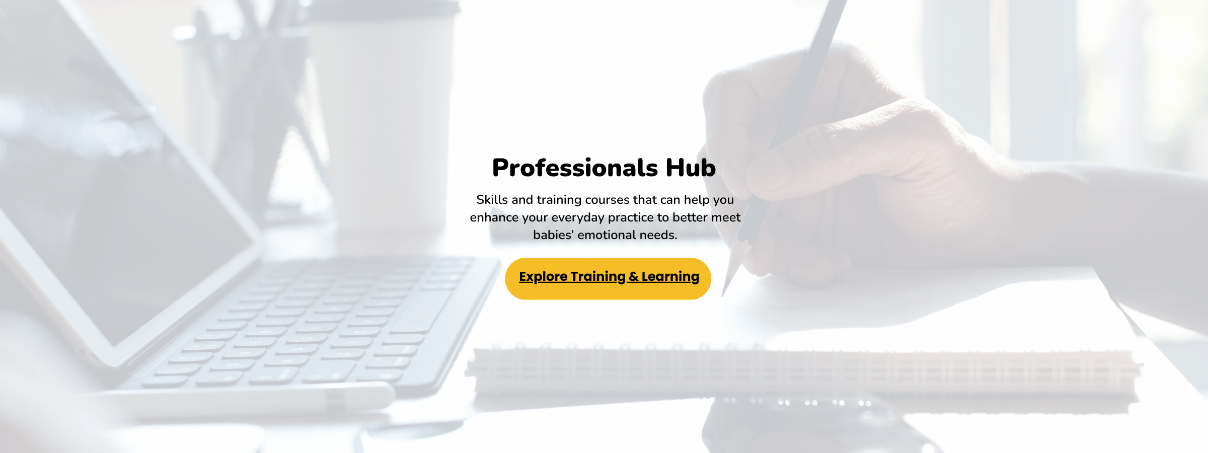 Professional  workspace for infant mental health training that strengthens practice to meet babies’ emotional needs in the first 1001 days