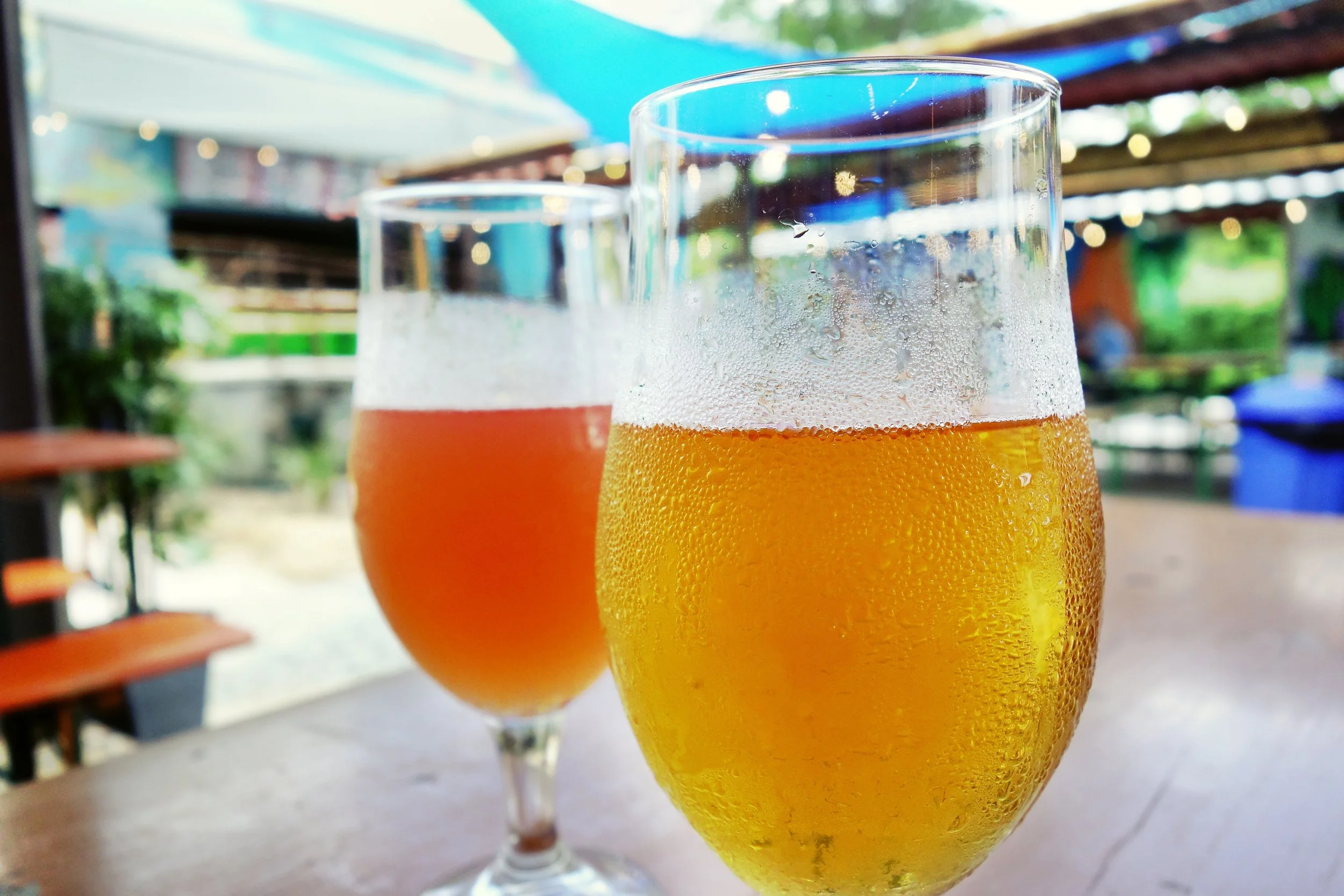 Explore Asheville: A Guide to the Artistic and Culinary Jewel of the Appalachias