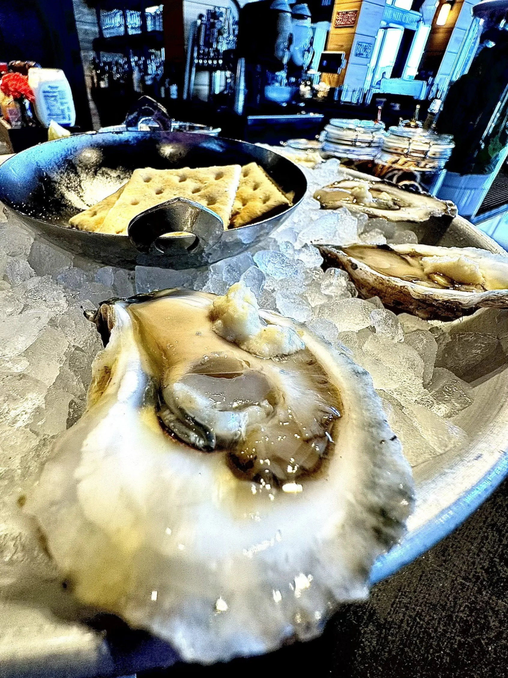 JML Oysters.jpg