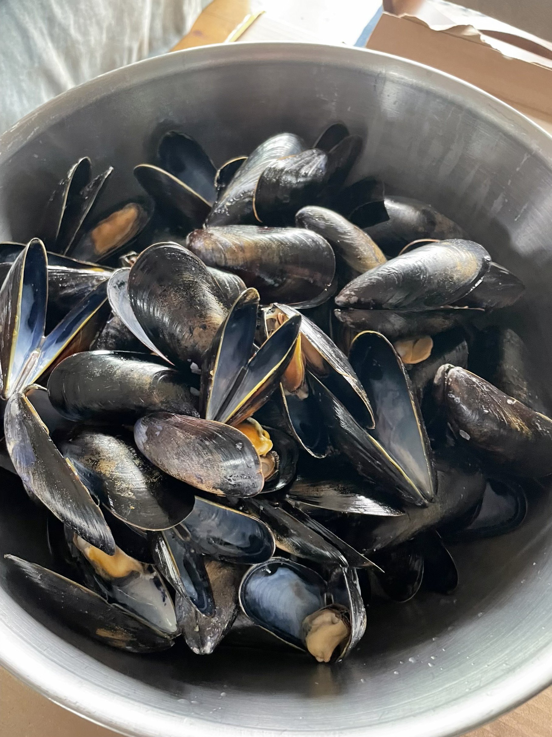 Mussels