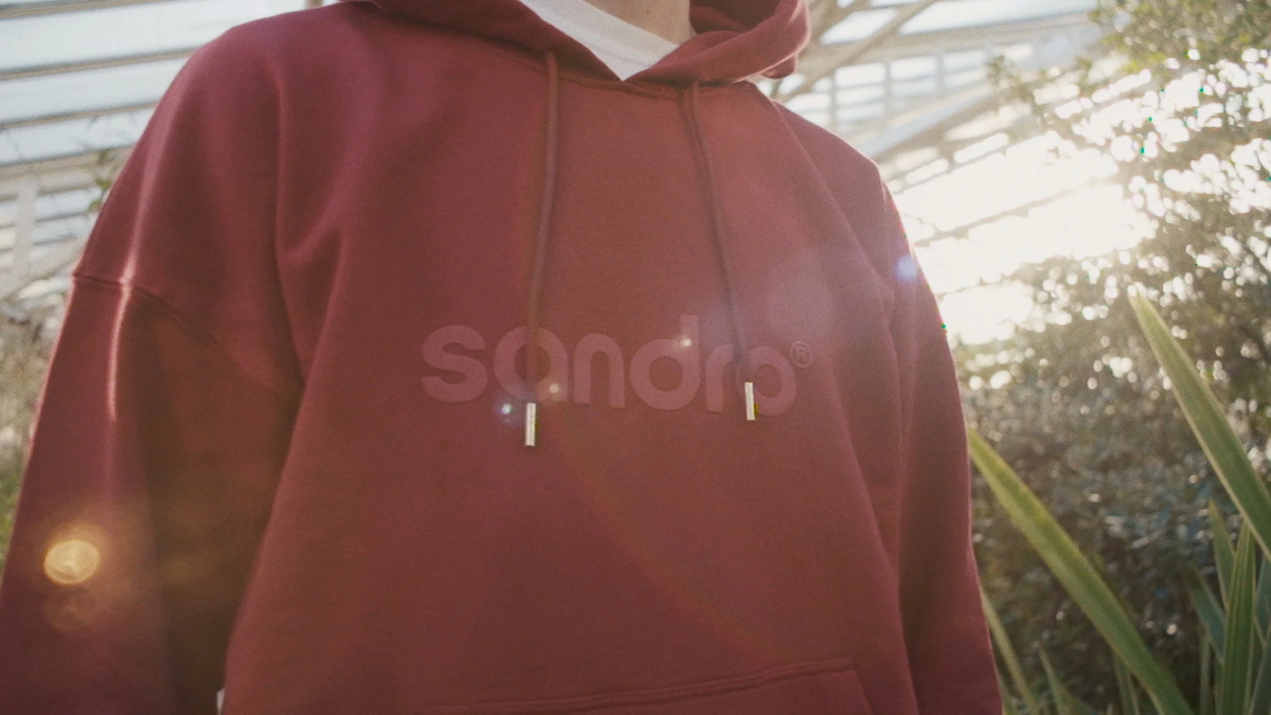 sandroparis_1.11.1.jpg