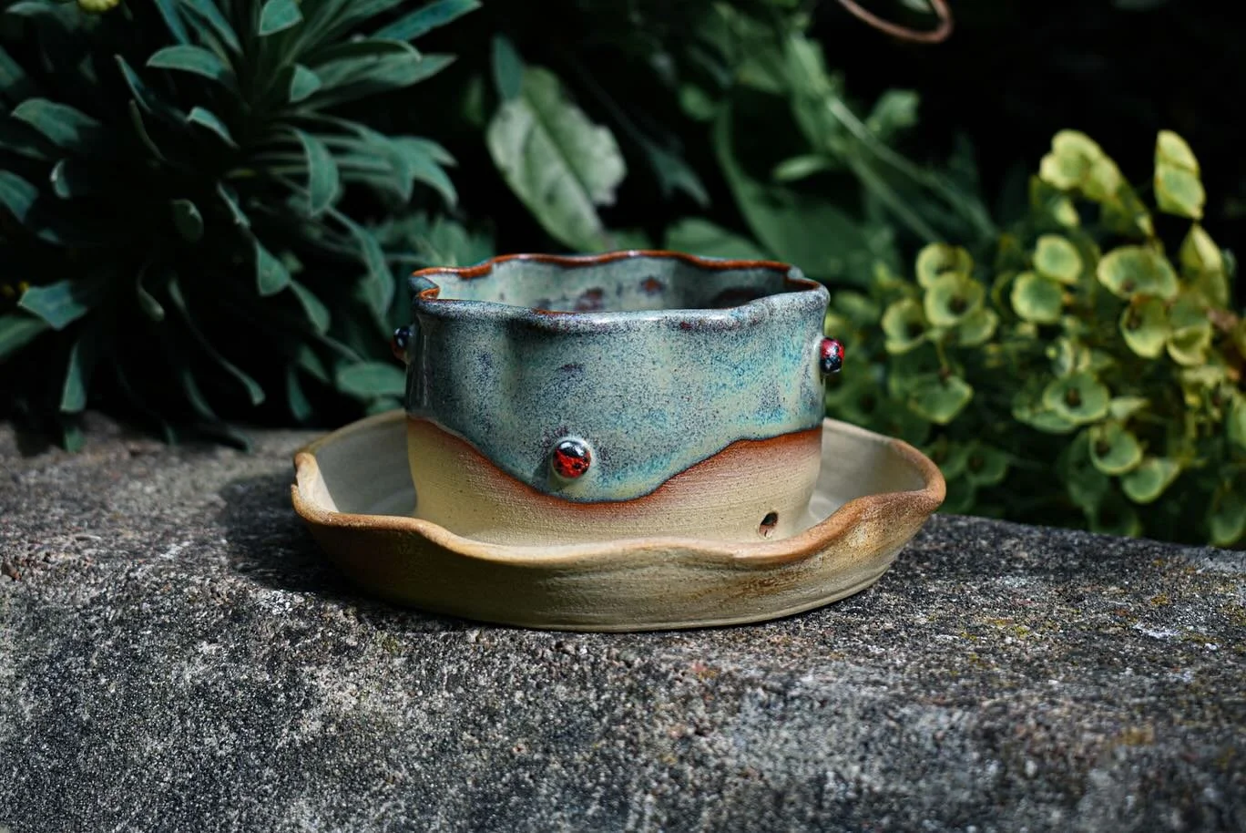 Ladybug 🐞 self watering pots off to their new homes 🏠 along with the gorgeous frog 🐸 pot ✨

#selfwateringplanter #pingpot #frogart #ladybird #whimsigoth #whimsical #ceramicartist #ceramicfrog