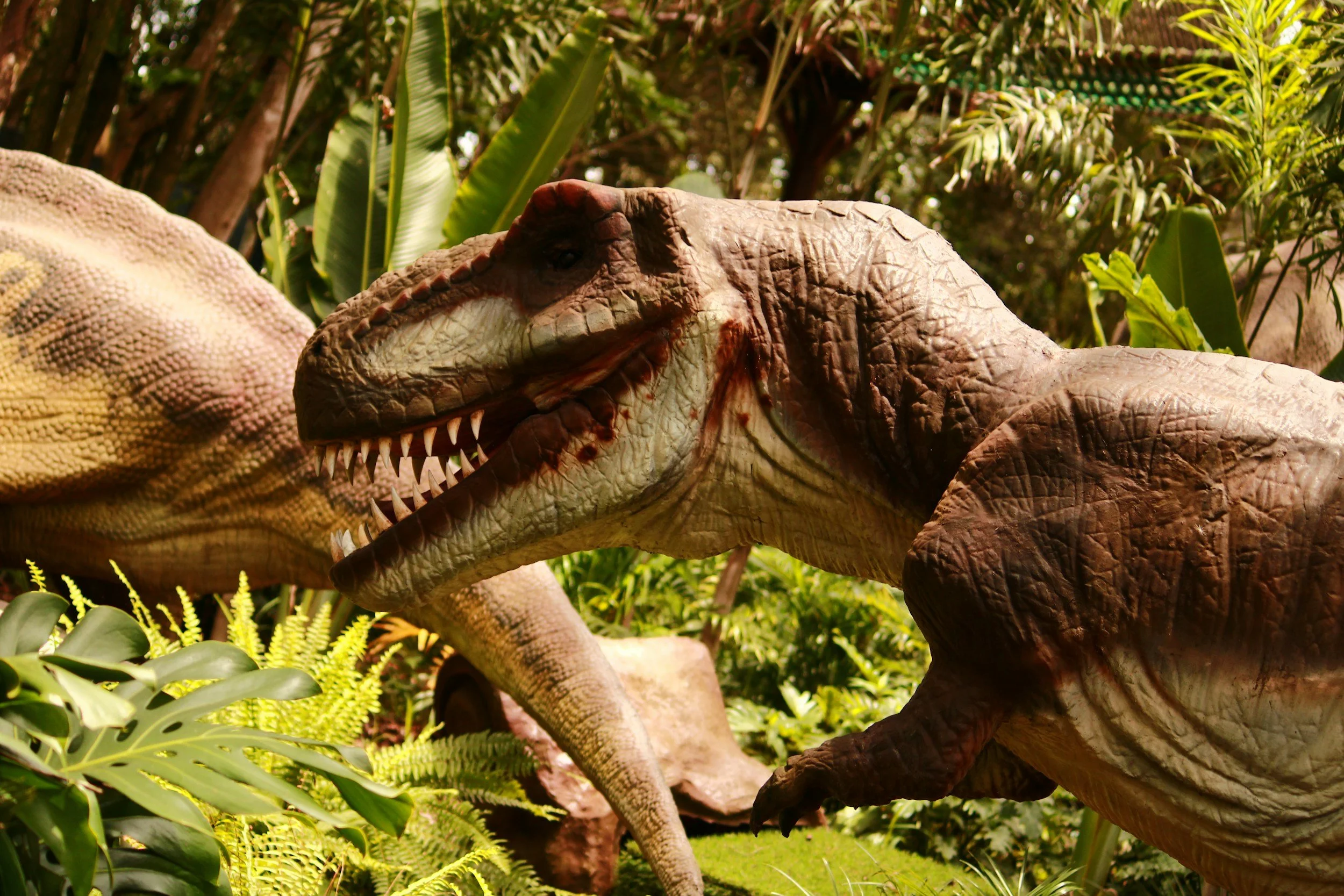 Even the stones cry out