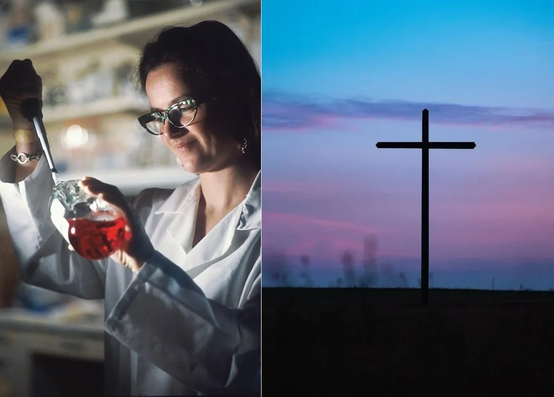 What, When, Who, Why ????