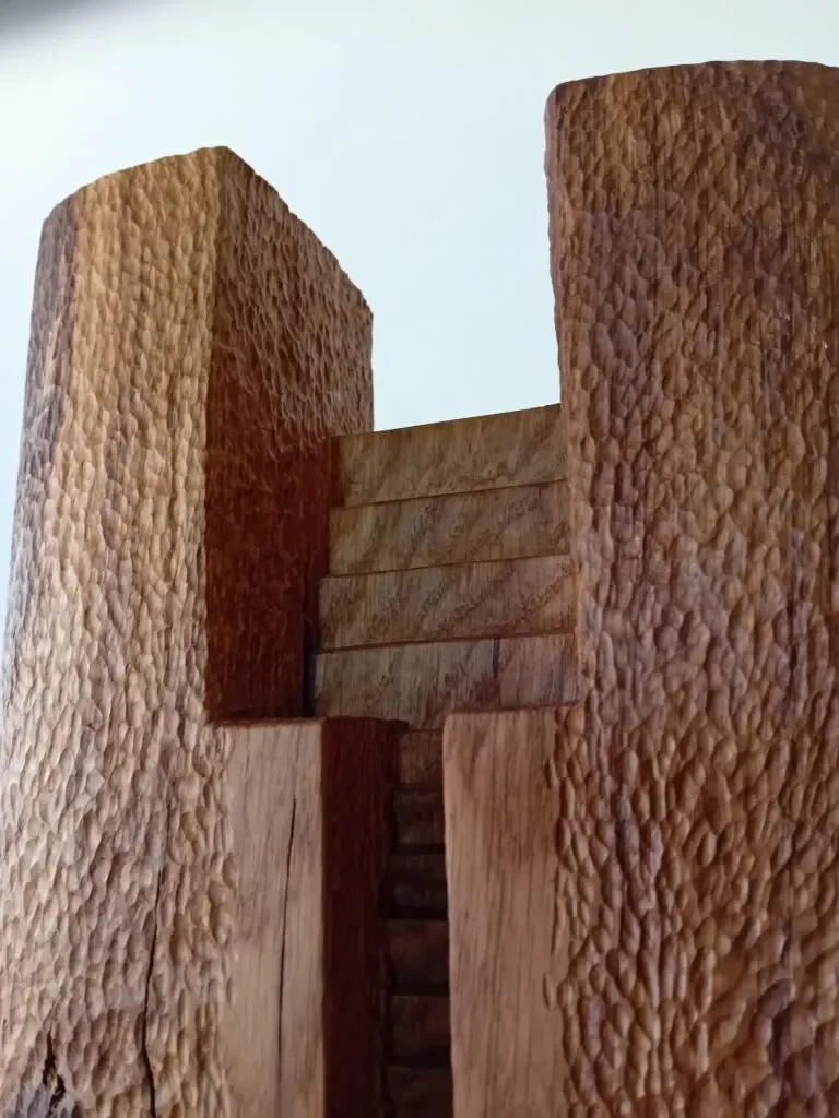 Echoes of Time: Two Artists, One Ancient Landscape at Oriel Canfas