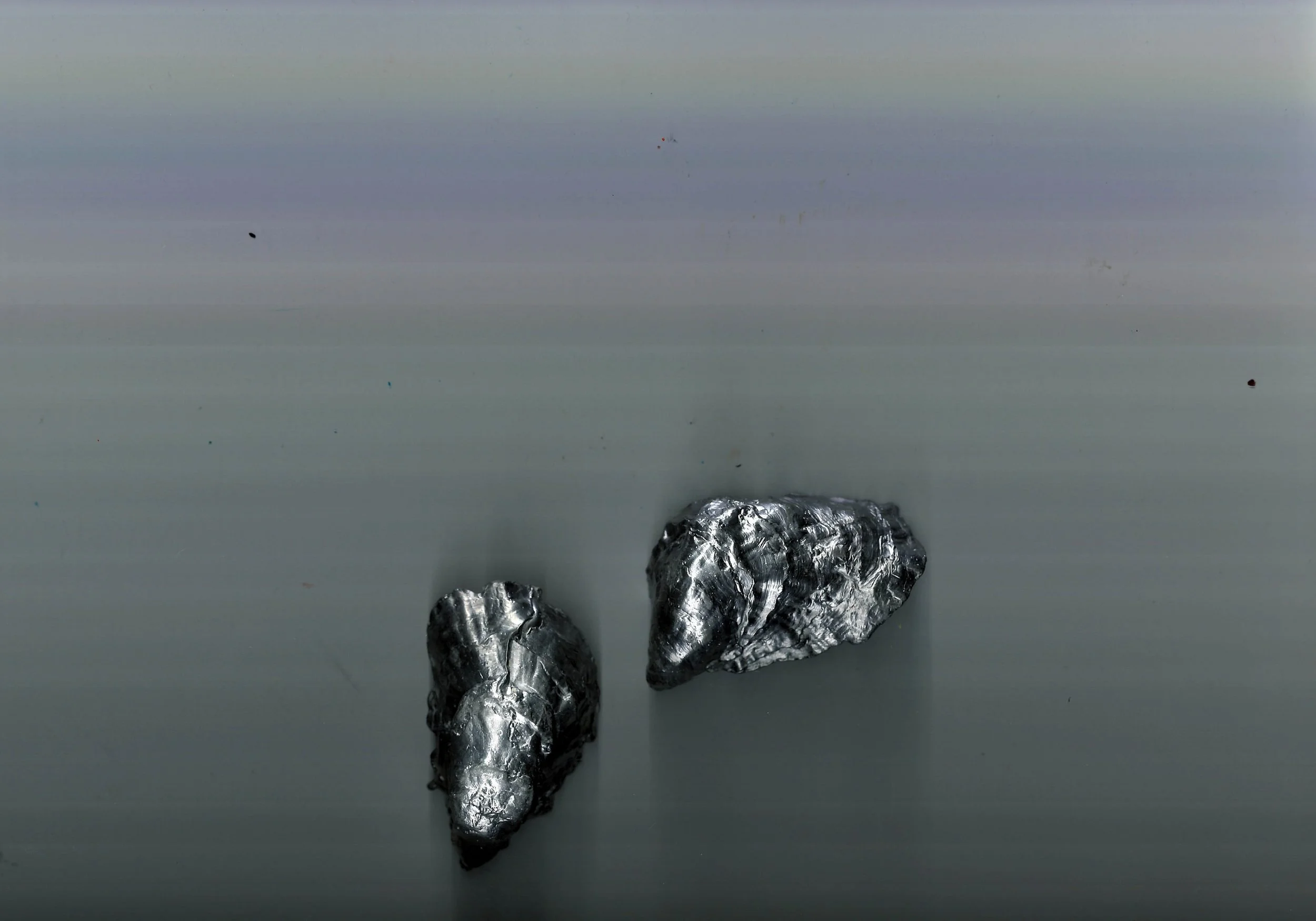 3.. My Shell Mechanical.jpg