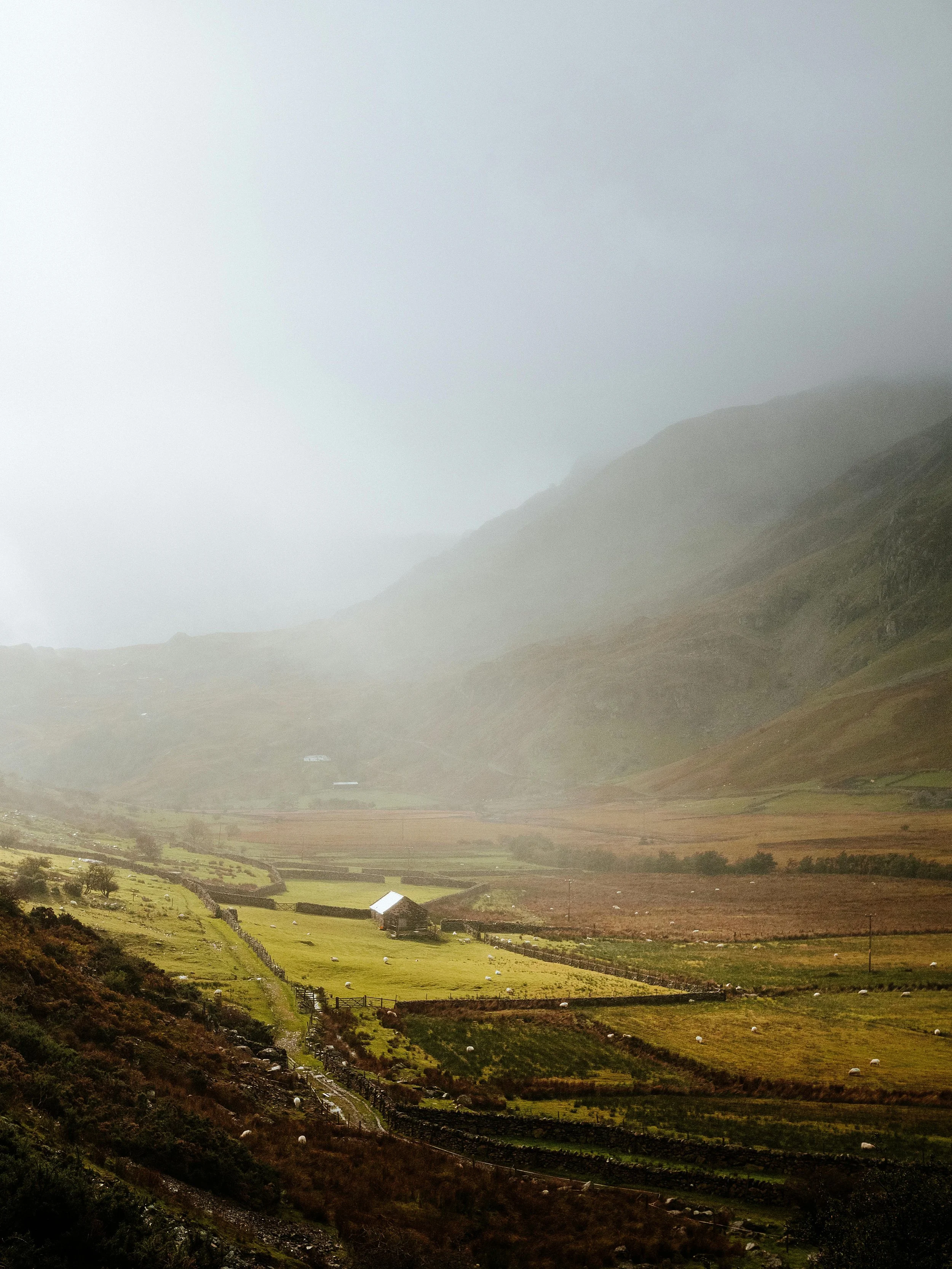 A Nation Told Into Being: Story, Survival and Wales