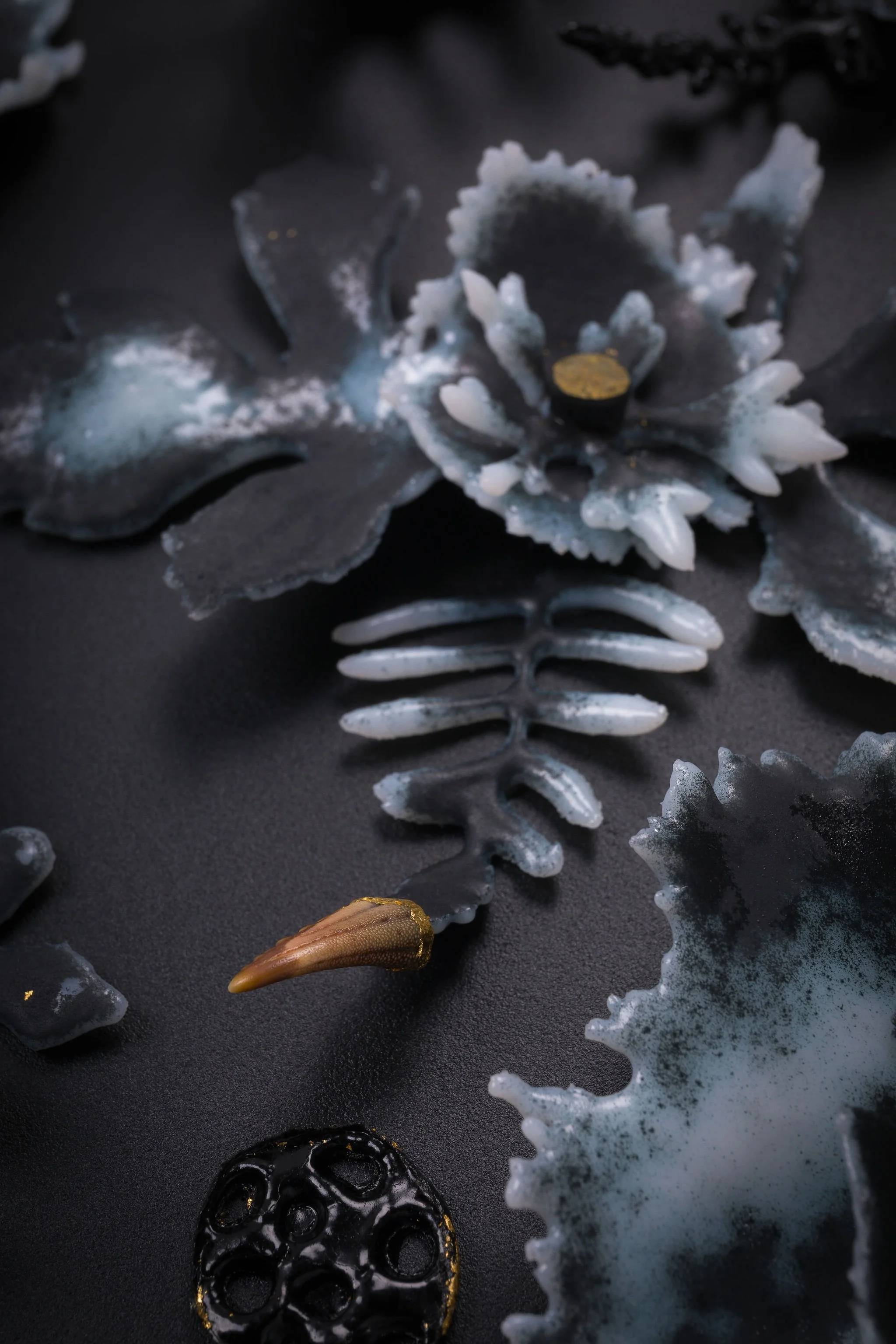 3 Verity Pulford Dark Tresures Stephen Heaton.jpg