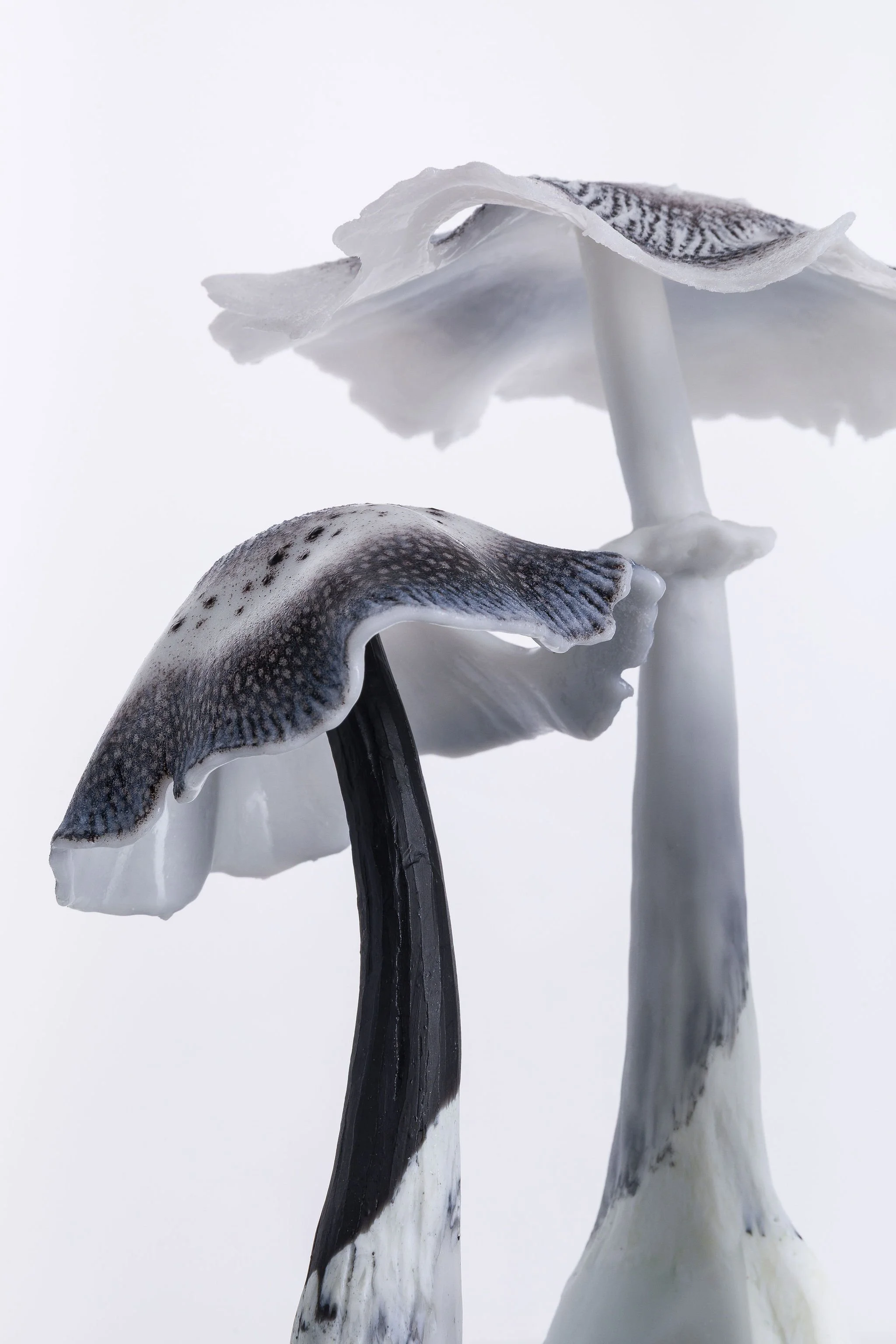 Nature, Glass and Quiet Wonder: ‘Moss for a Bed’ Opens in North Wales This Summer