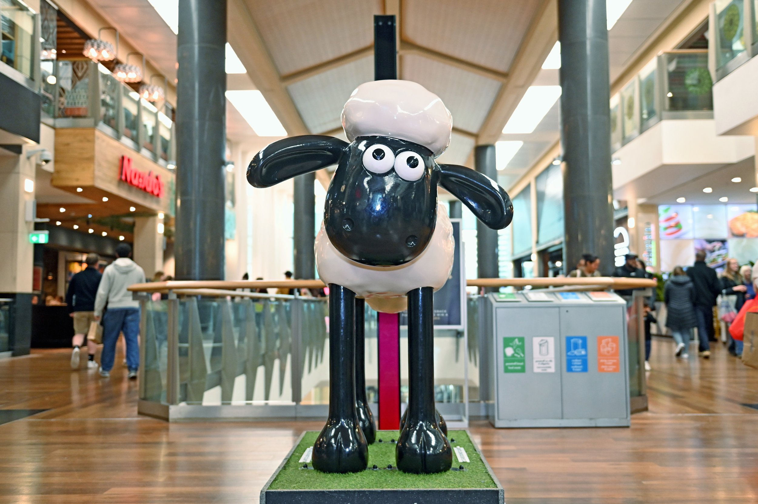 Shaun the Sheep trail 2026 (16).JPG