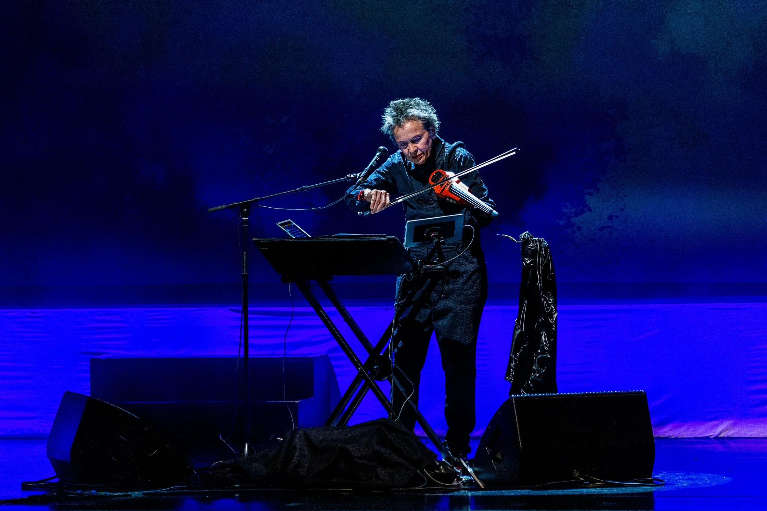 Laurie Anderson ©David McHugh - Brighton Festival.jpg