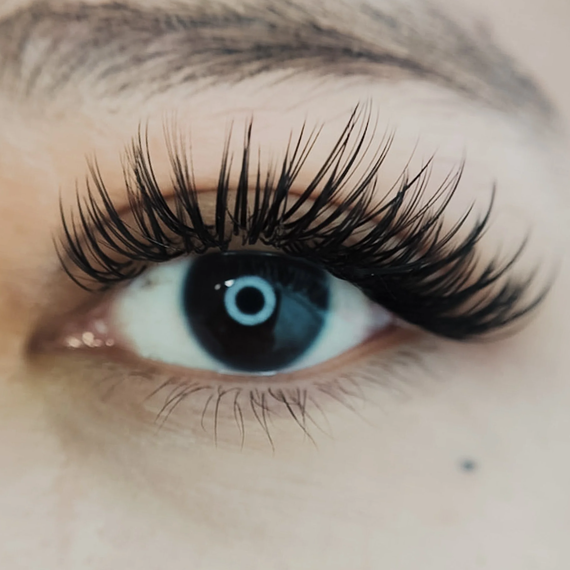 lash-5.png