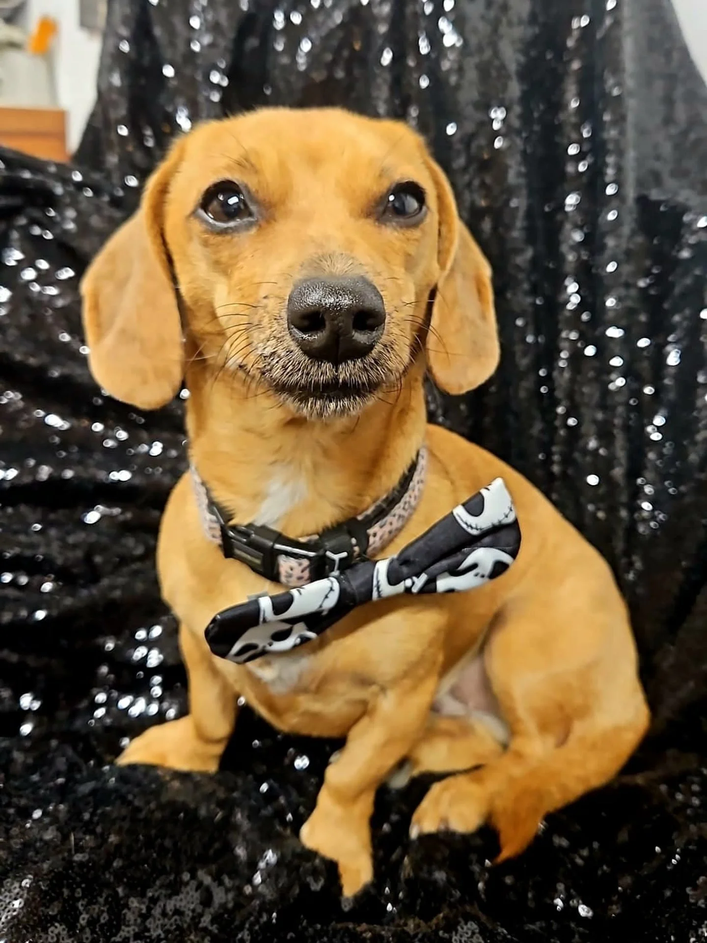 The happiest and spookiest of halloween, from our spooky, spooky Flo ๐ป๐ป๐ป
We’ve been LOVING the autumn styling and halloween fun, but we’re already thinking about the next big thing. 
What’s next? Well, it rhymes with isthmus, i