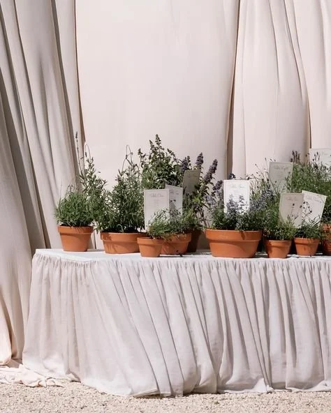 2026 Trends - Earth Tones3.jpg