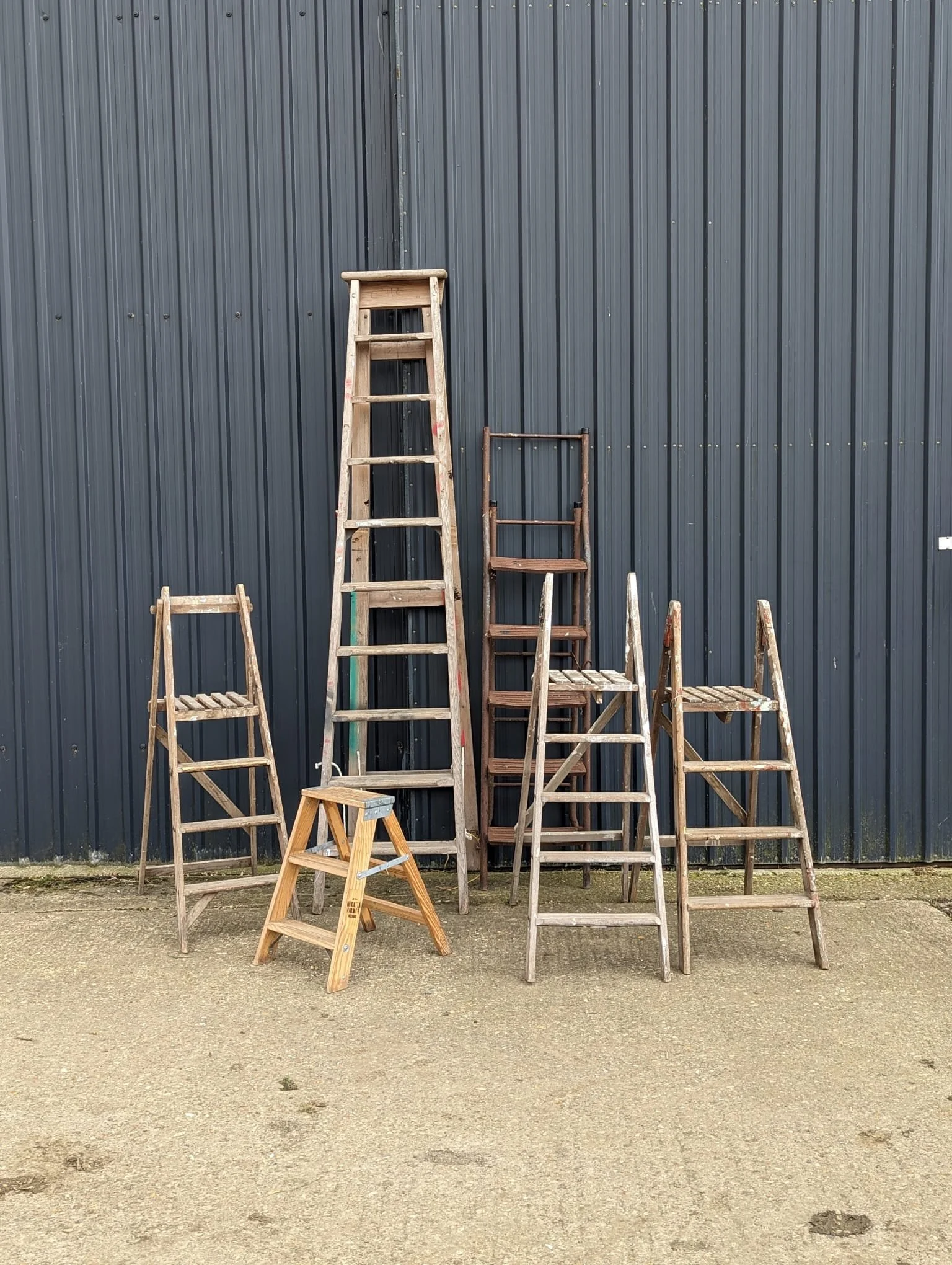 Vintage ladders.jpg