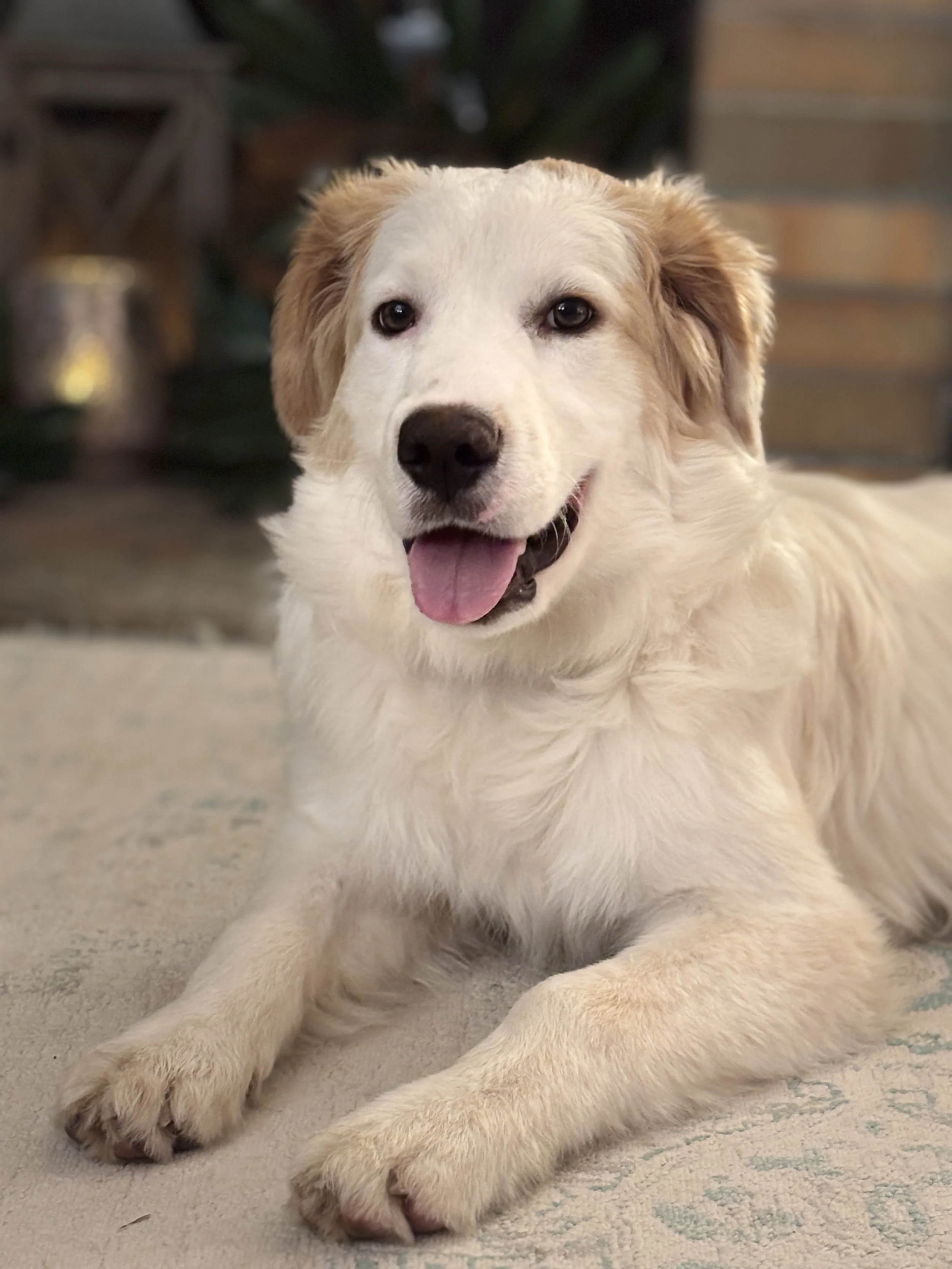 Take a sad song and make it better