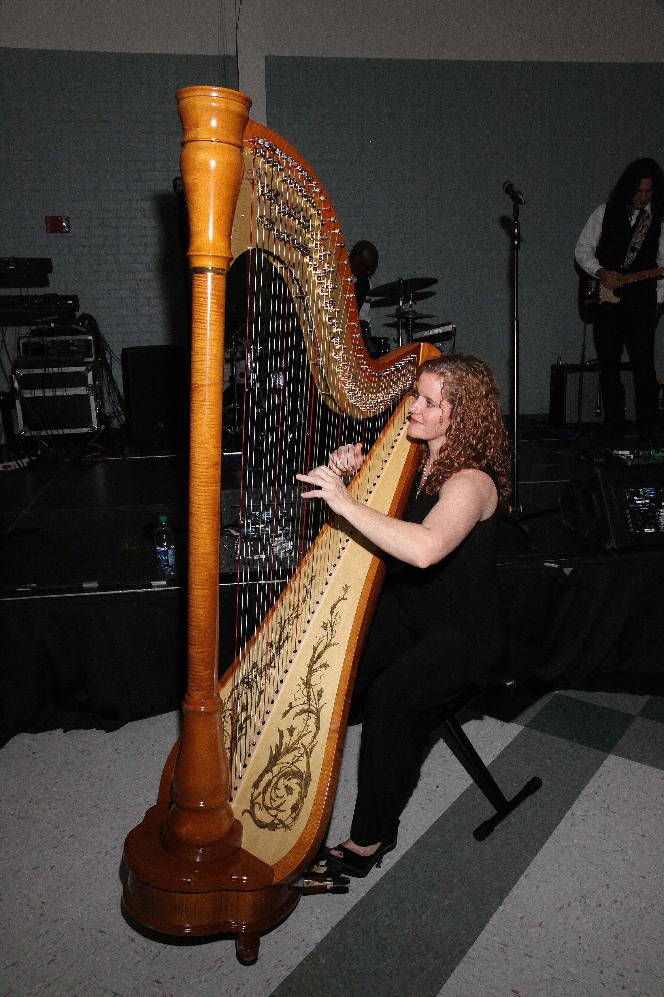 Kipper Ackerman Harpist Live Music Private Event.jpg
