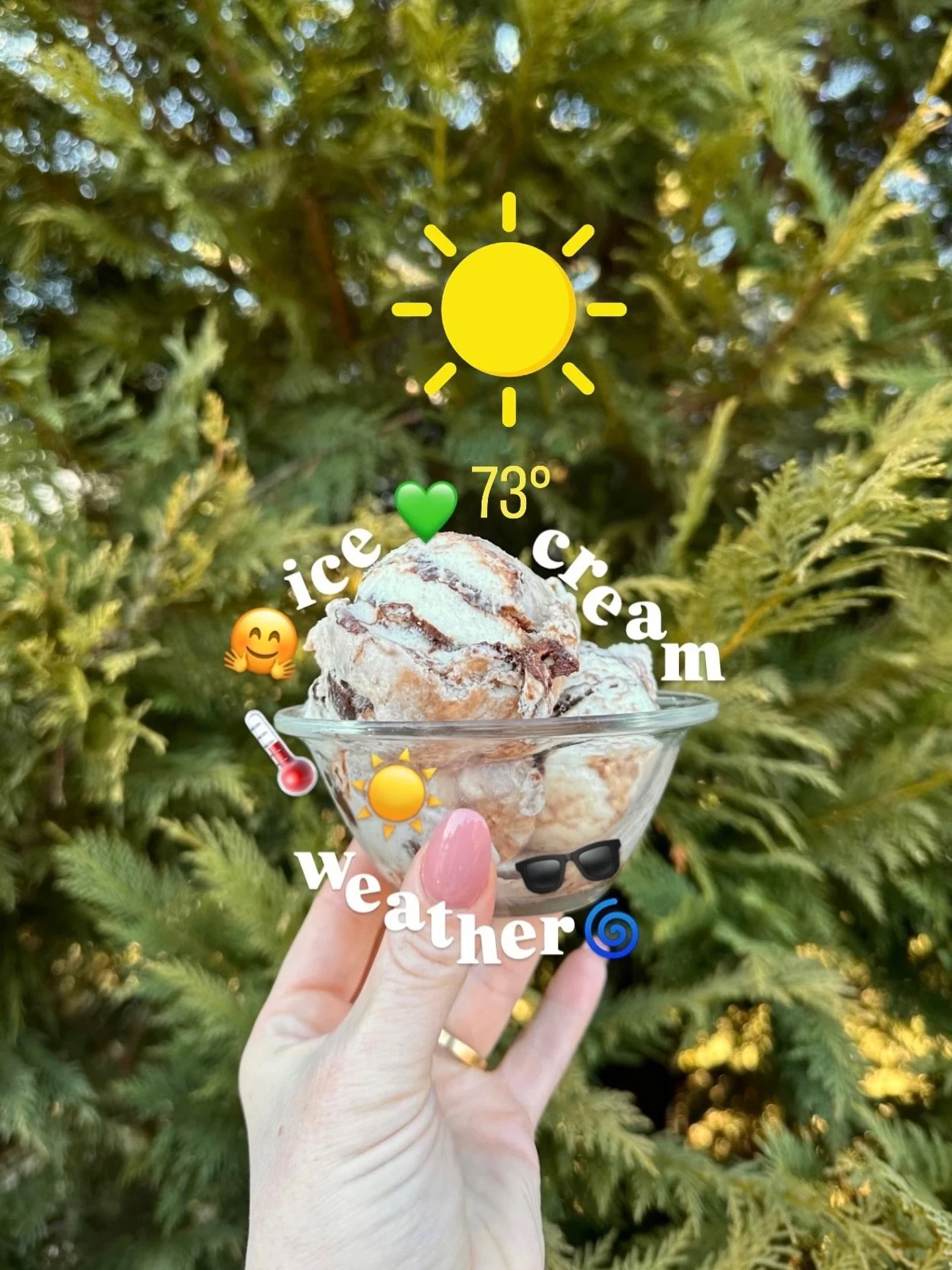 breyers_1773089205_3849273608166263343_4813986069.jpg