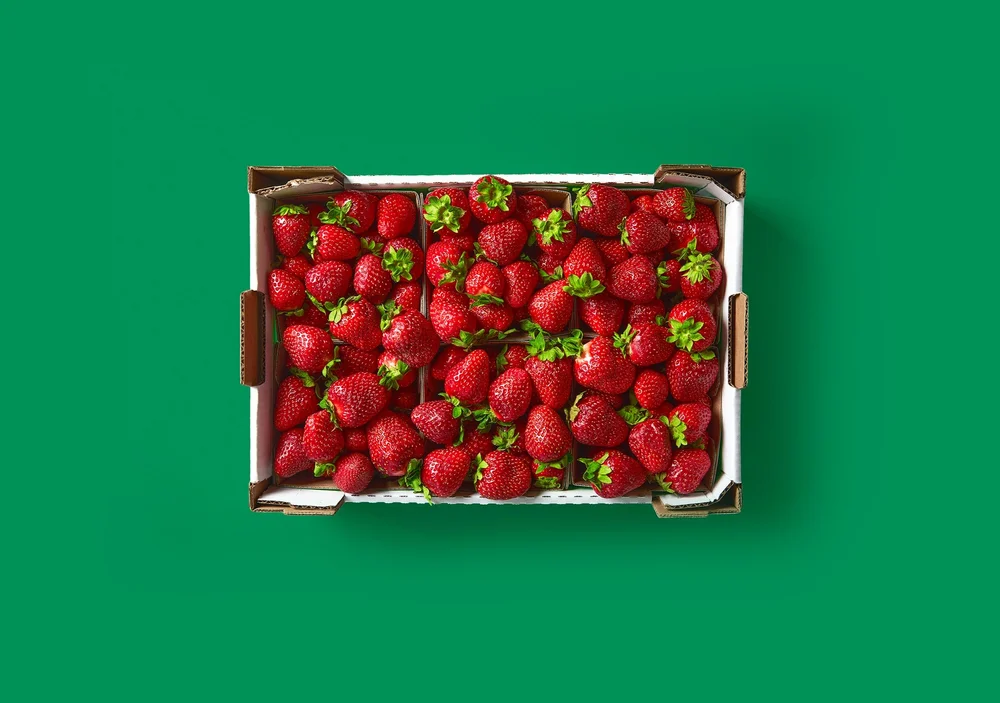 Taste intelligence overview