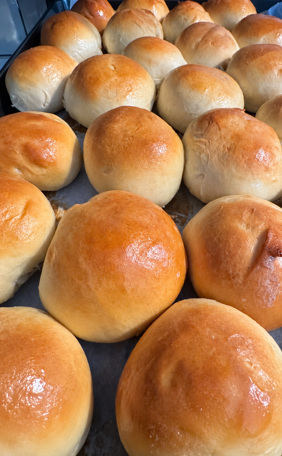 Golden-brown holiday dinner rolls on a baking tray.