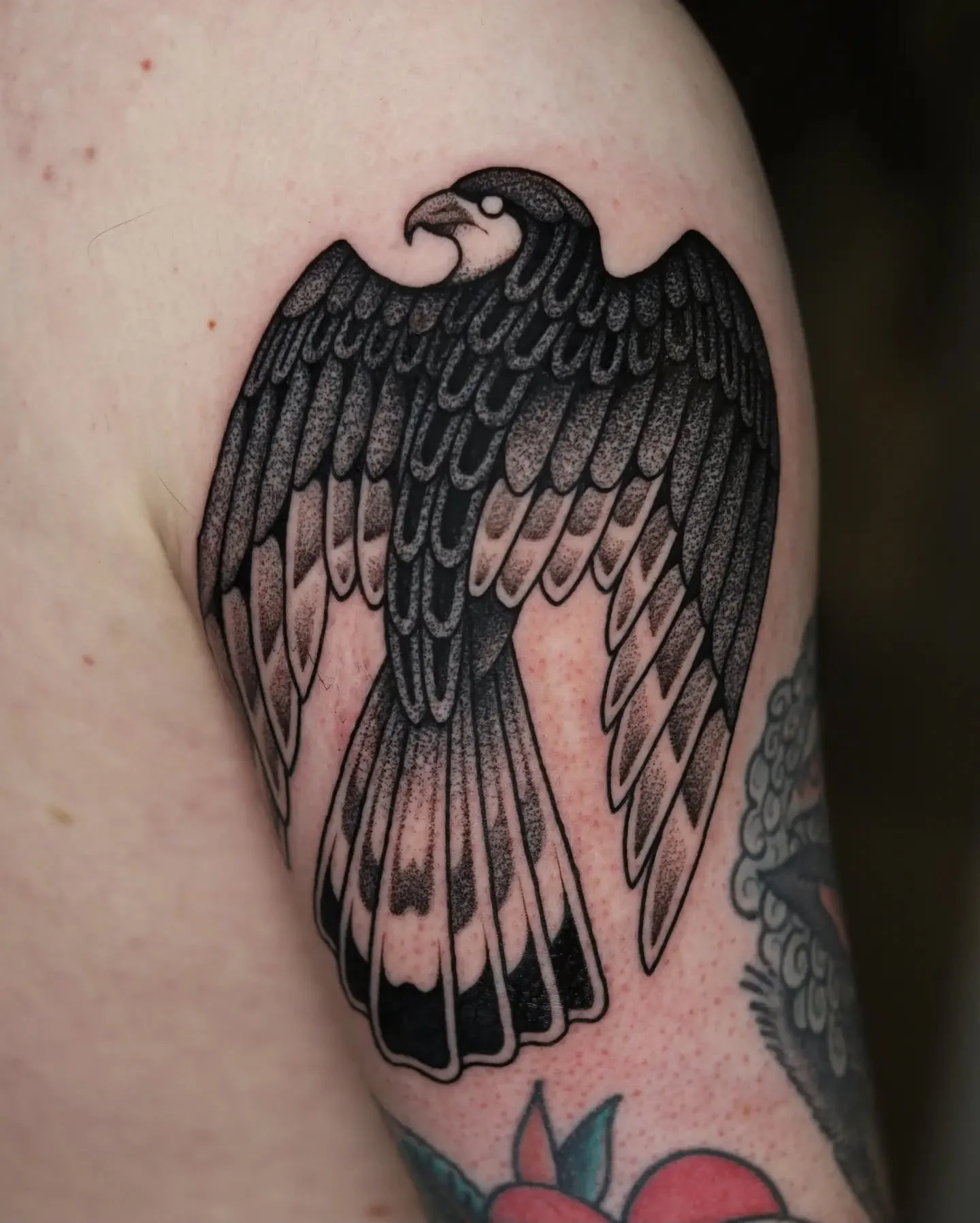 &bull; B U Z Z A R D &bull; 

"Buteo Buteo" common buzzard for shane. Drawn to fit a space at the top of his arm. Loved doing this tattoo, I love birds.

To book an appointment or arrange a free consultation you can DM me or fill out the bo