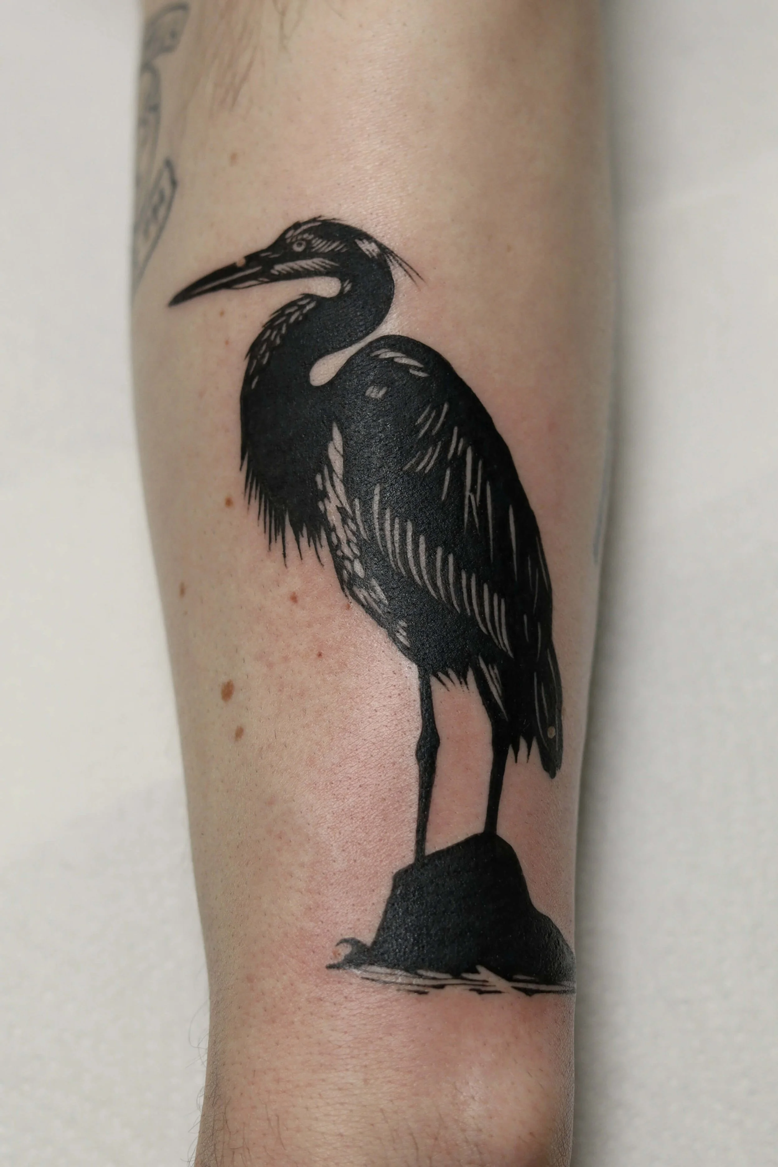 Black Heron Custom Tattoo Design.