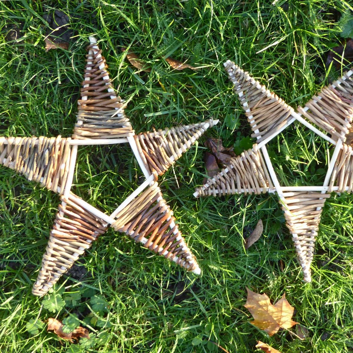 Christmas Willow Star Workshop