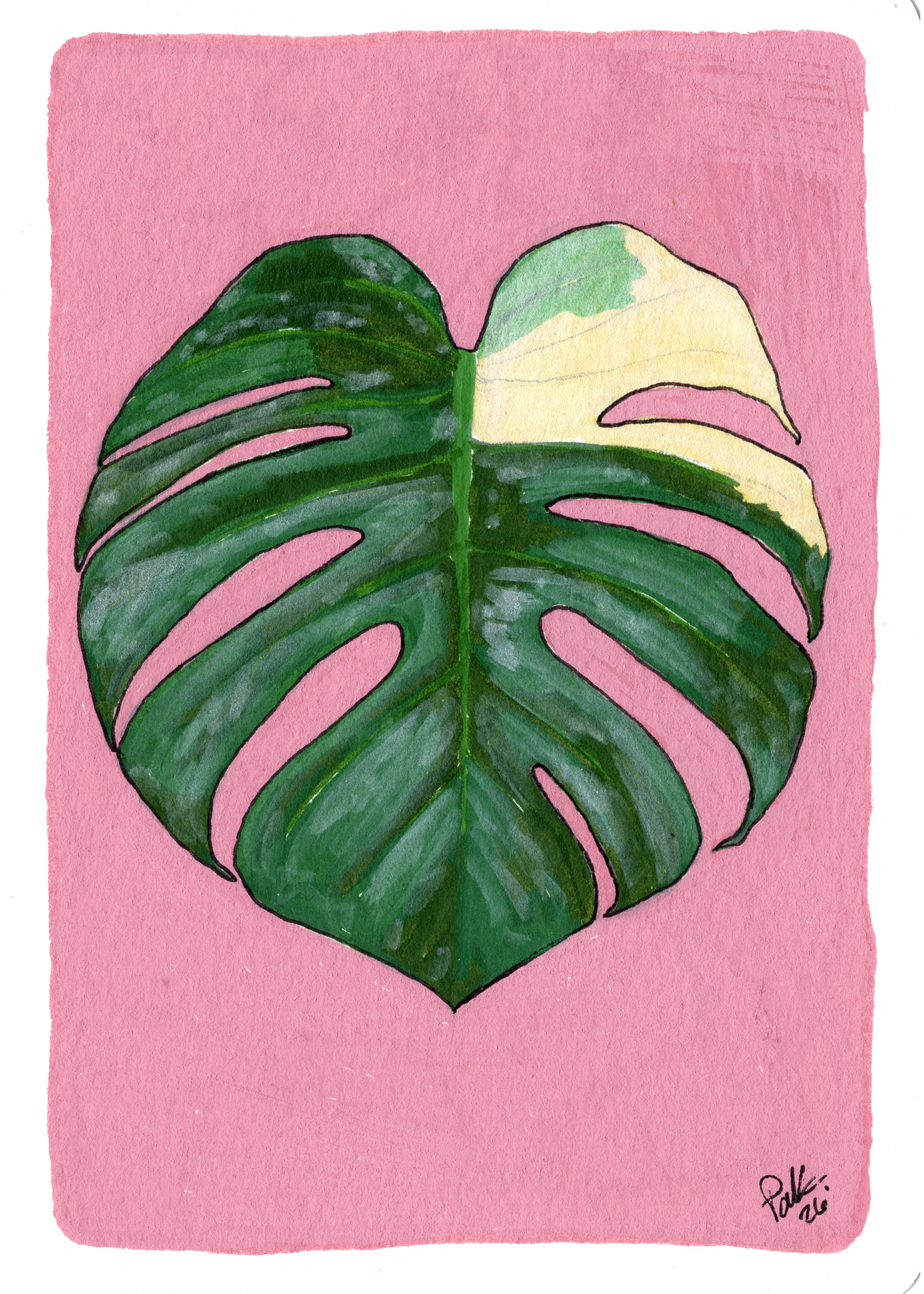 Acrylic Markers on watercolor paper. Originally made as a postcard and turned into a print. Referenced my own Thai Constellation Monstera.