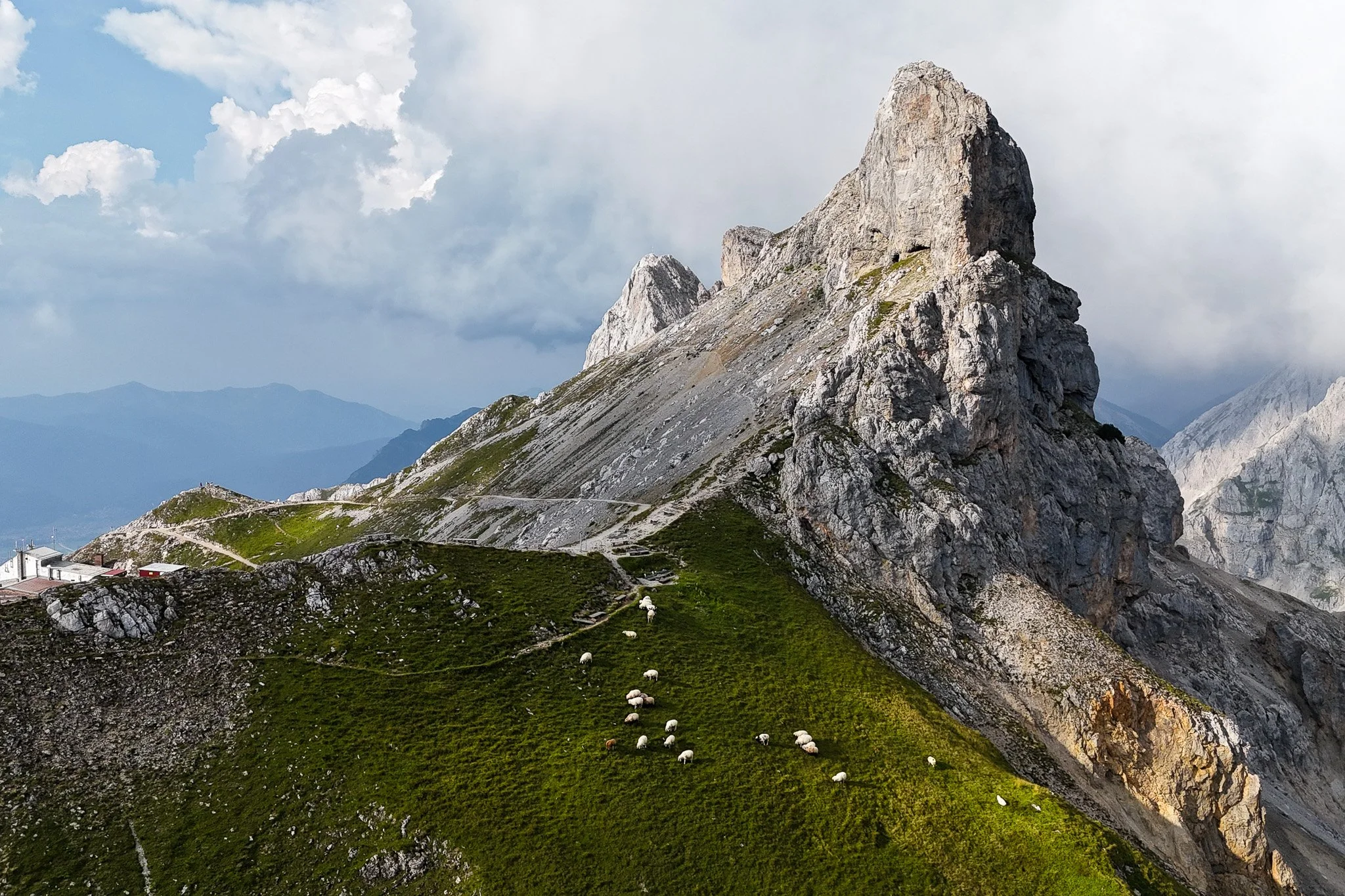 DJI_20240824172407_0042_D.jpg