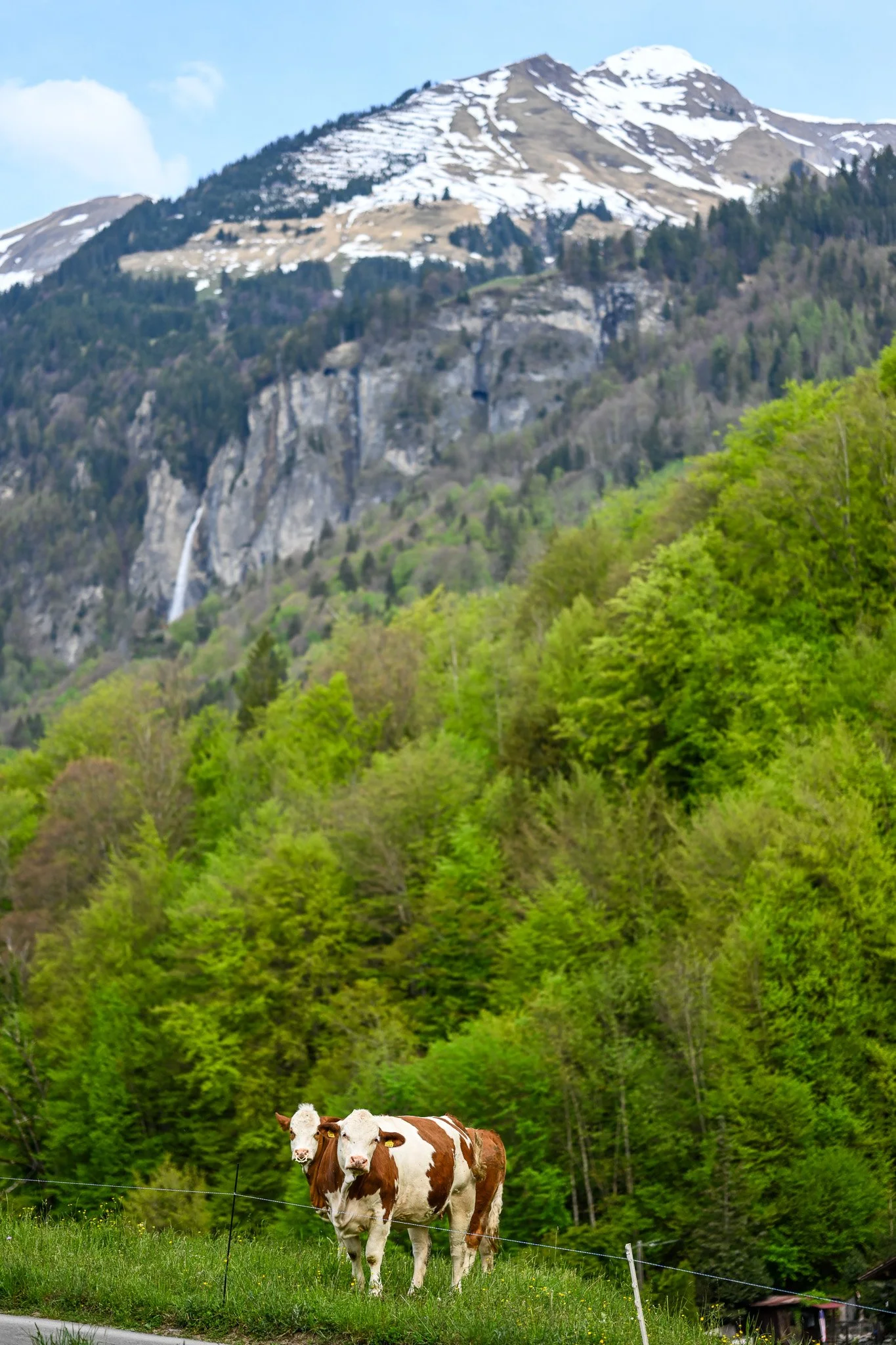 DSC_8673.jpg