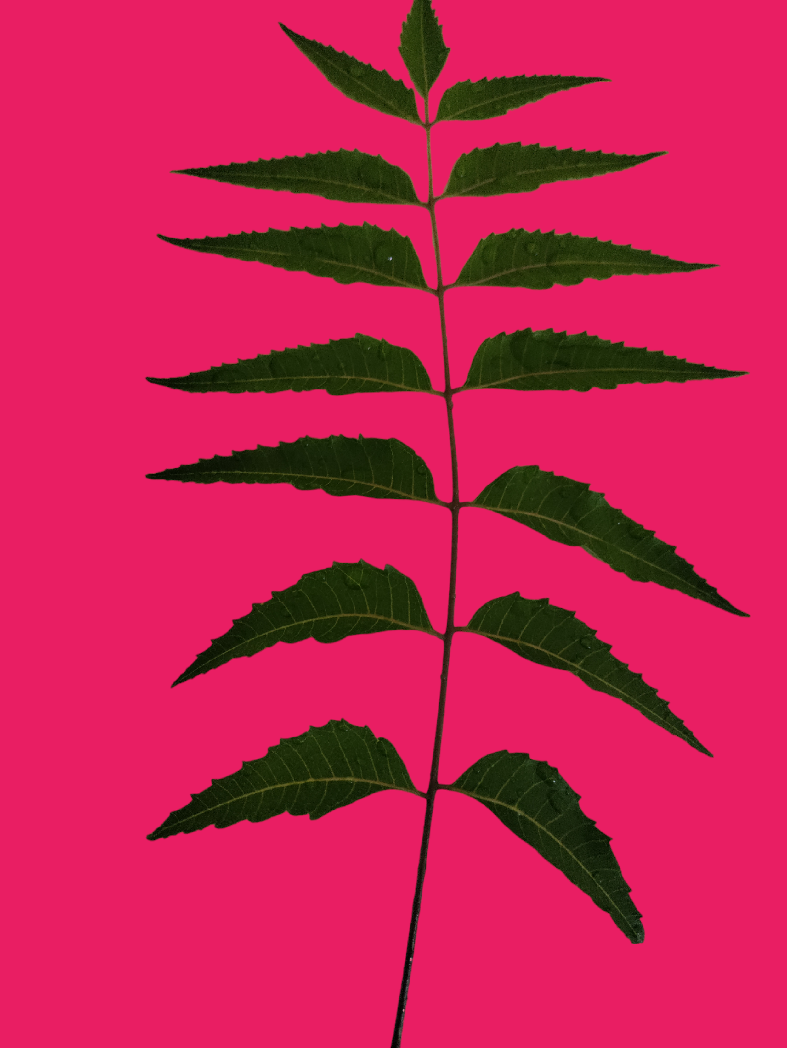 Group 1 (78).png