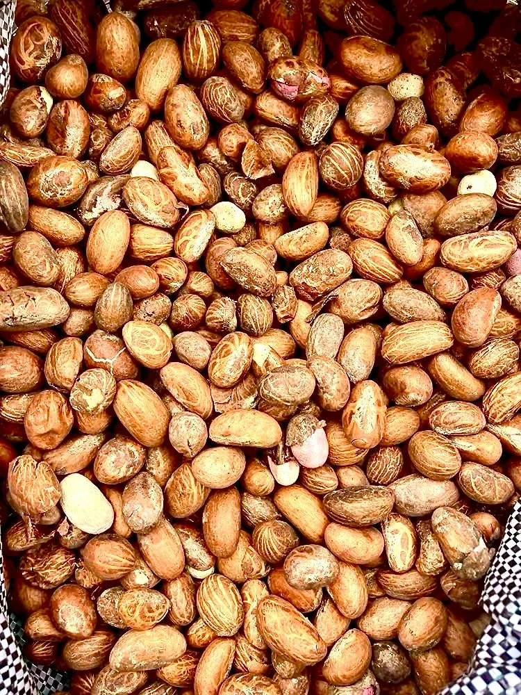 A close-up of hazelnuts with brown shells in a basket.
