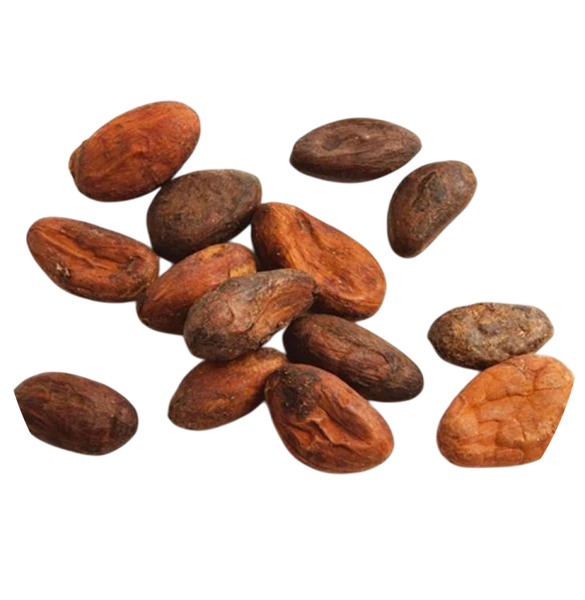COCOA BEANS WOATOME 1-Photoroom (2).png