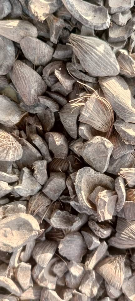 pks supplier origin ghana.jpeg