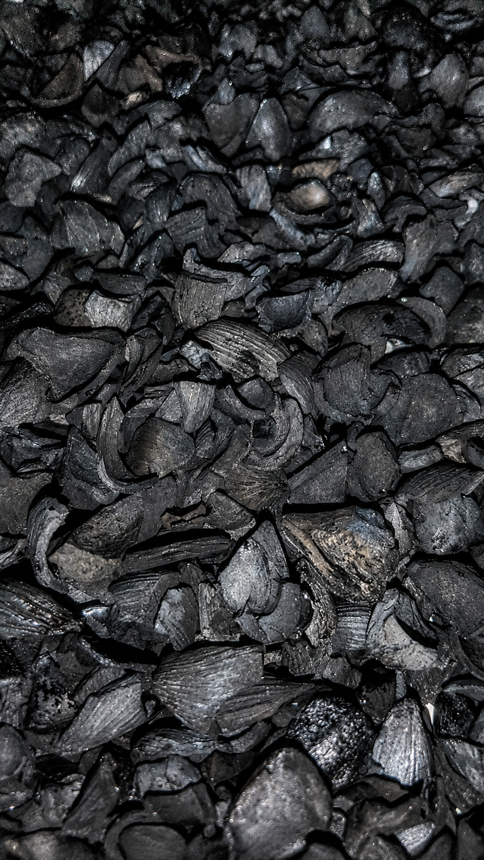 woatome carbonized pks.png
