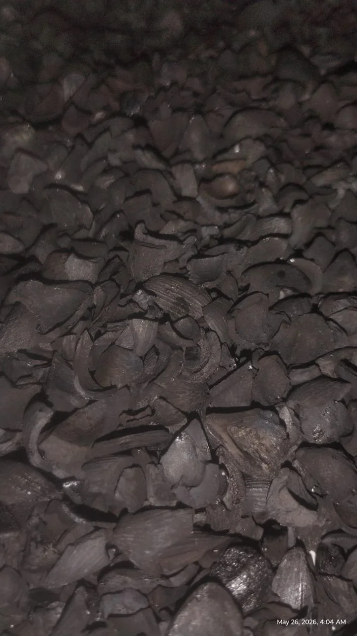 carbonized palm kernel shells for biofuel
