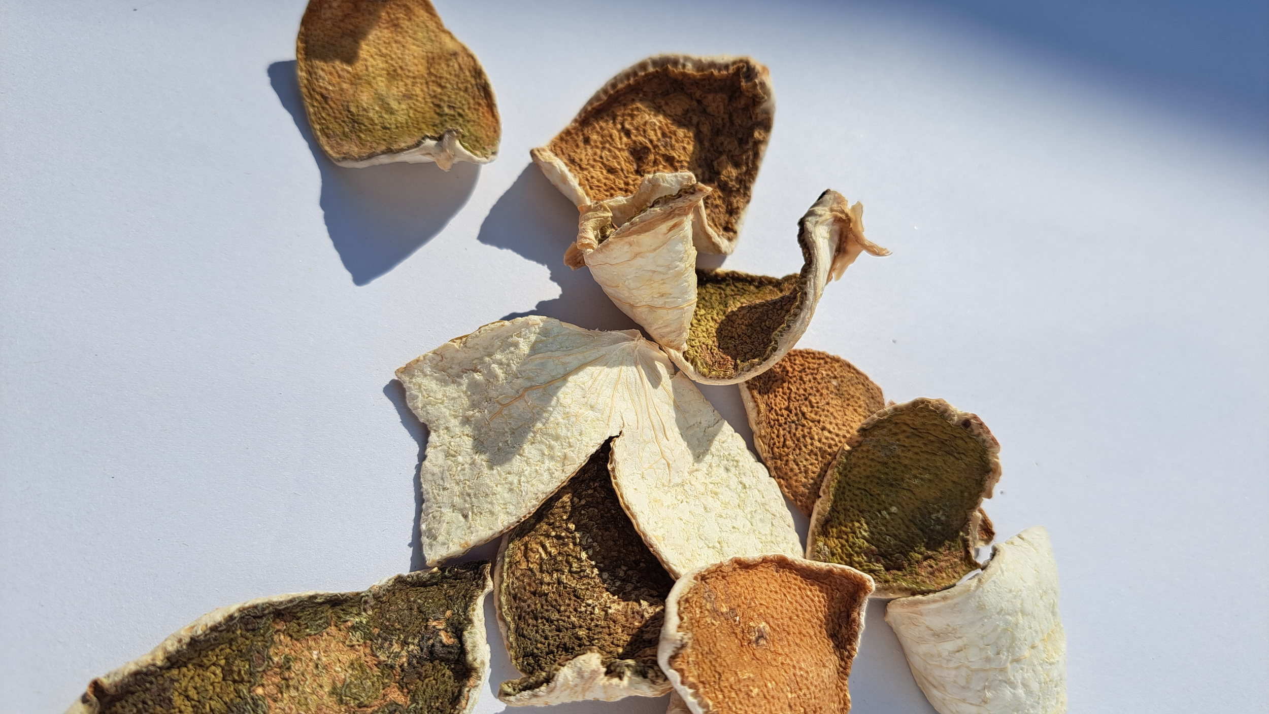 Woatome Citrus Peels Supplier.png