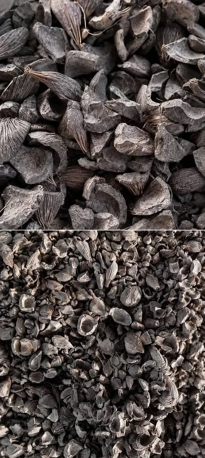 Premium Palm Kernel Shells Supplier