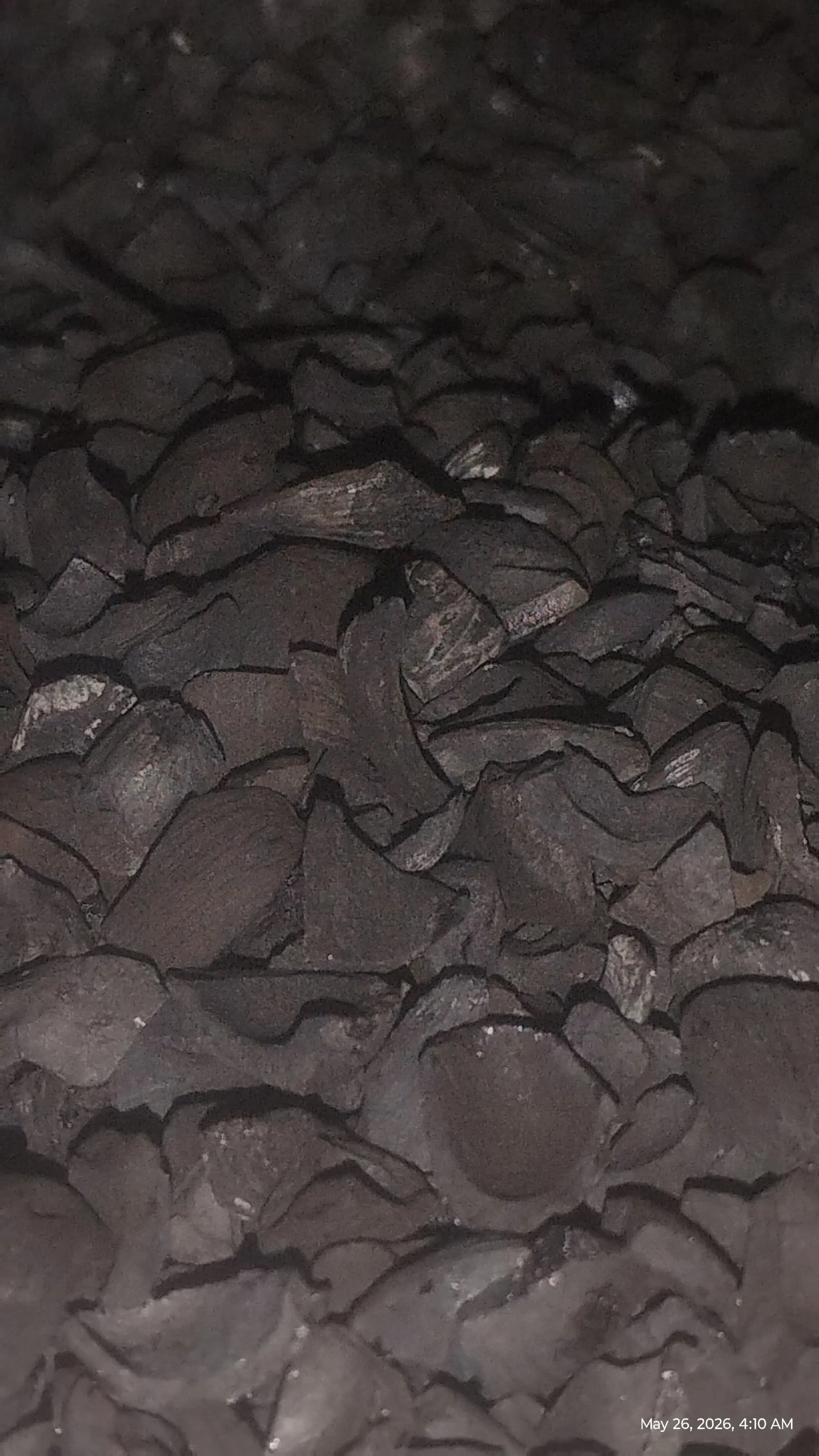 carbonizedpks.jpeg