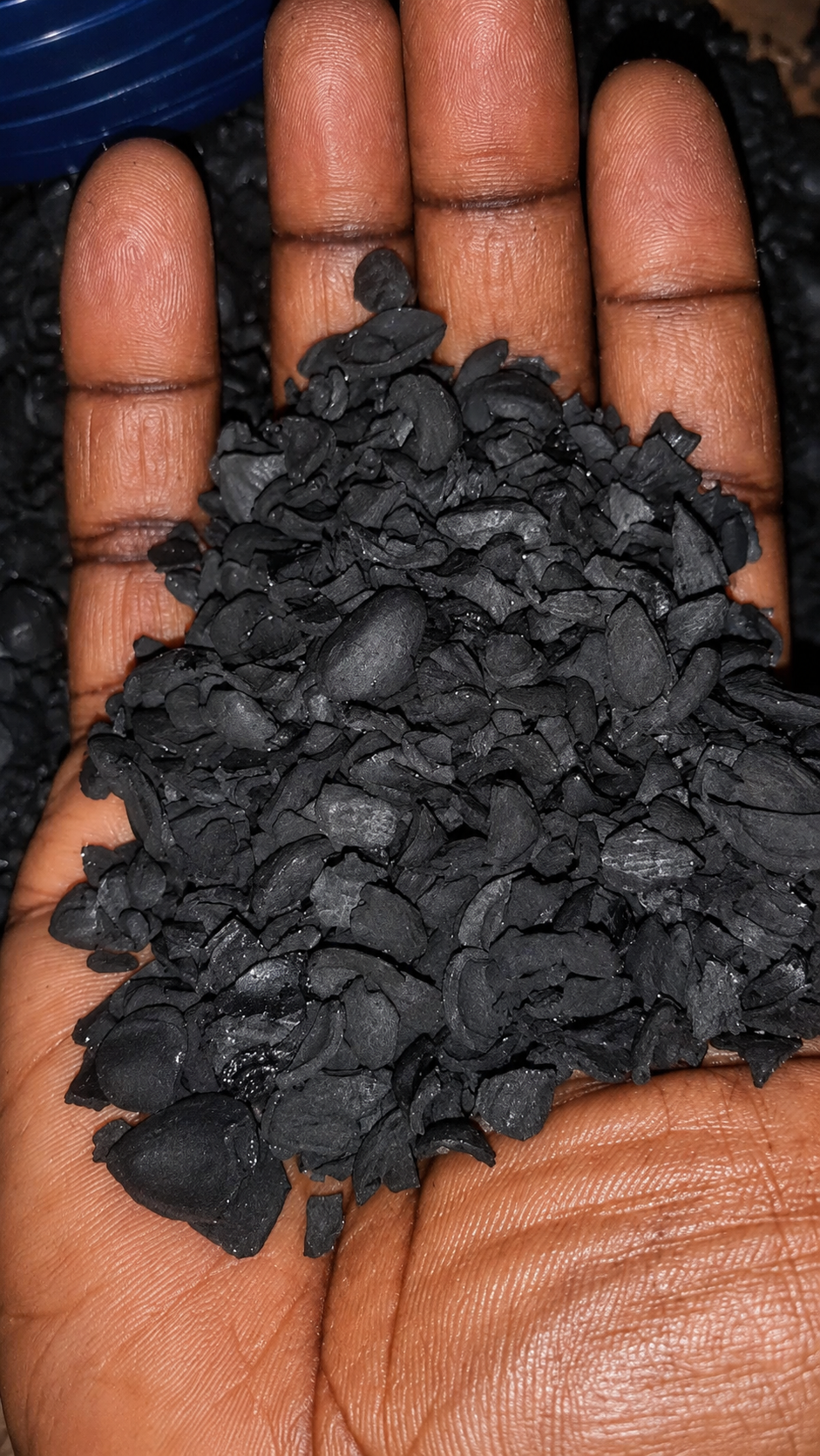 Carbonized Palm Kernel Shells