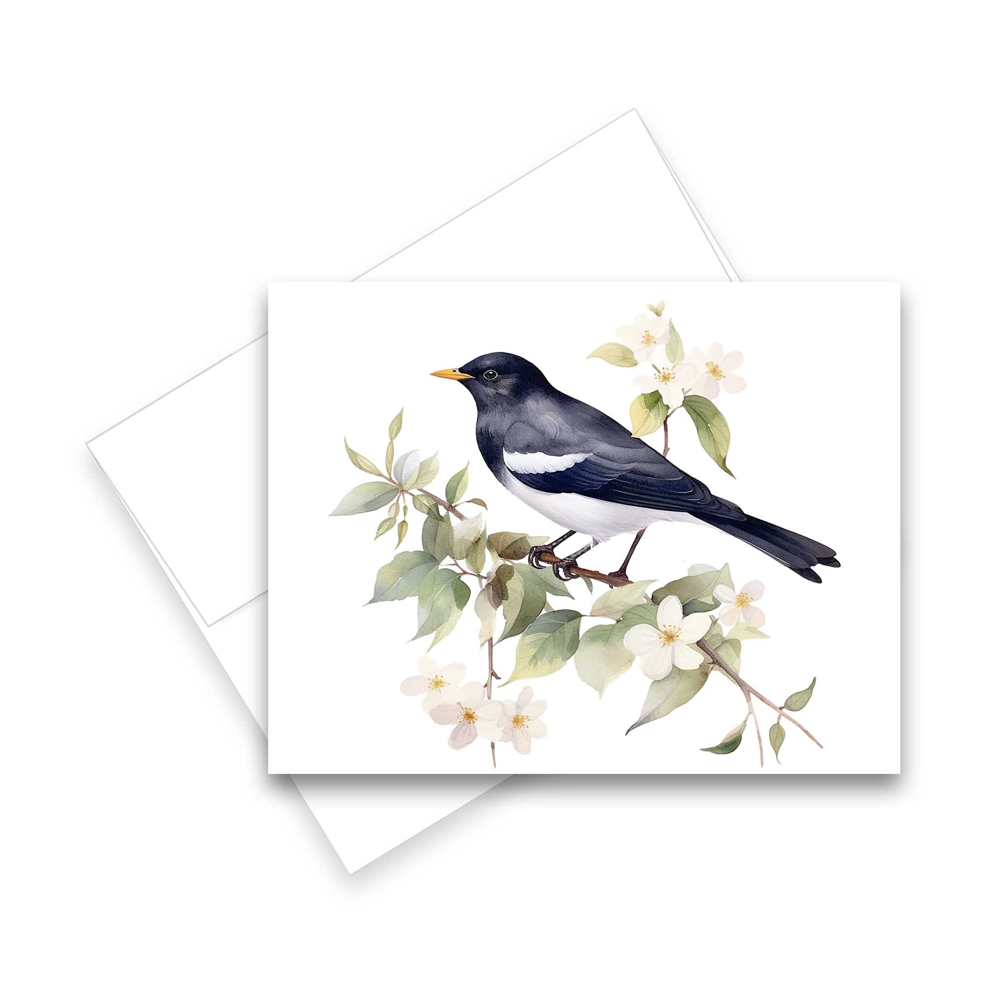 Greeting cards with birds, gift for bird lover, cute bird cards, all occasion cards, thank you cards, get well cards, blank cards with envelopes