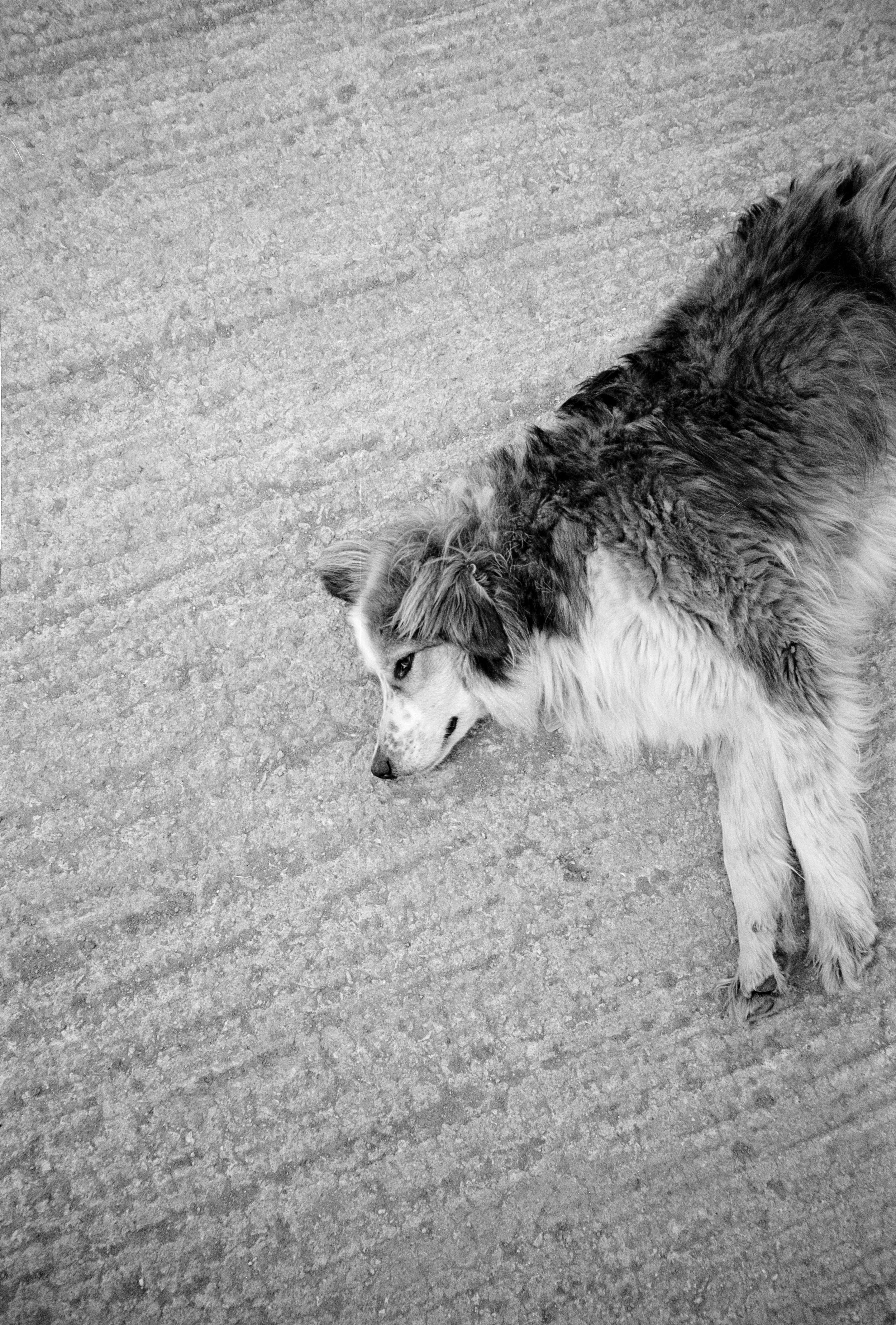 HEBE & TED WEDDING ANALOGUE 33.jpg