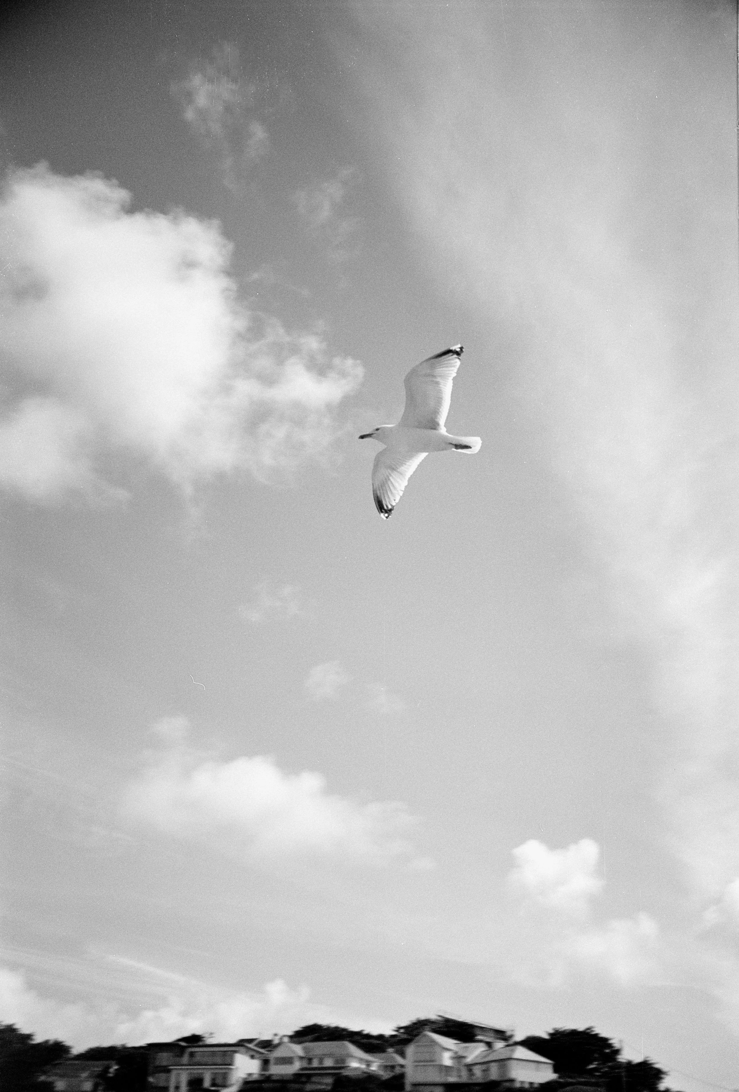 HEBE & TED WEDDING ANALOGUE 4.jpg