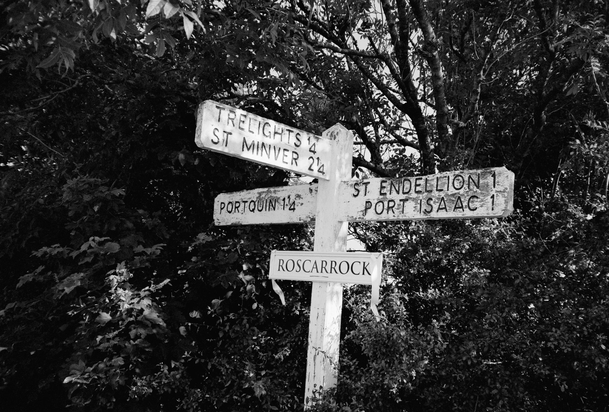 HEBE & TED WEDDING ANALOGUE 14.jpg