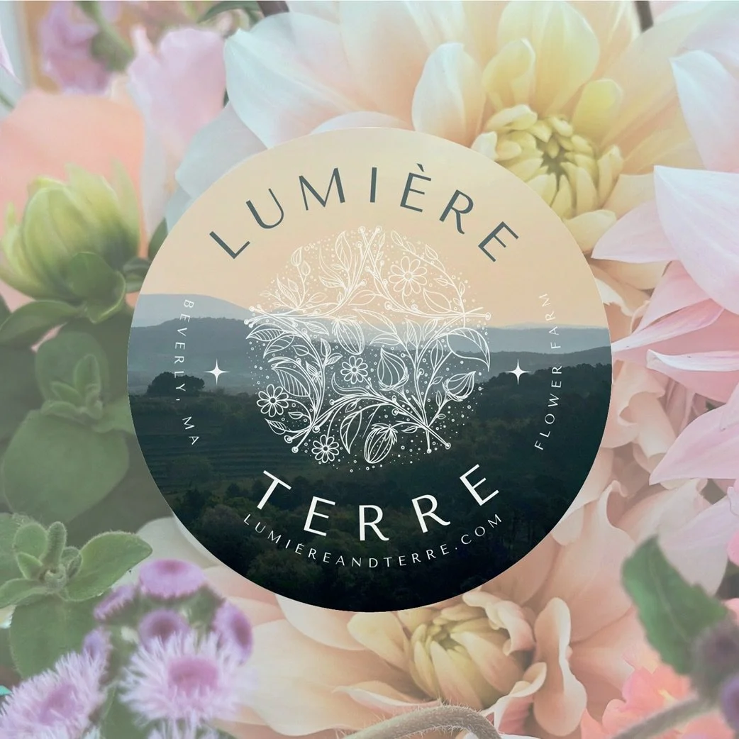 Lumière + Terre
