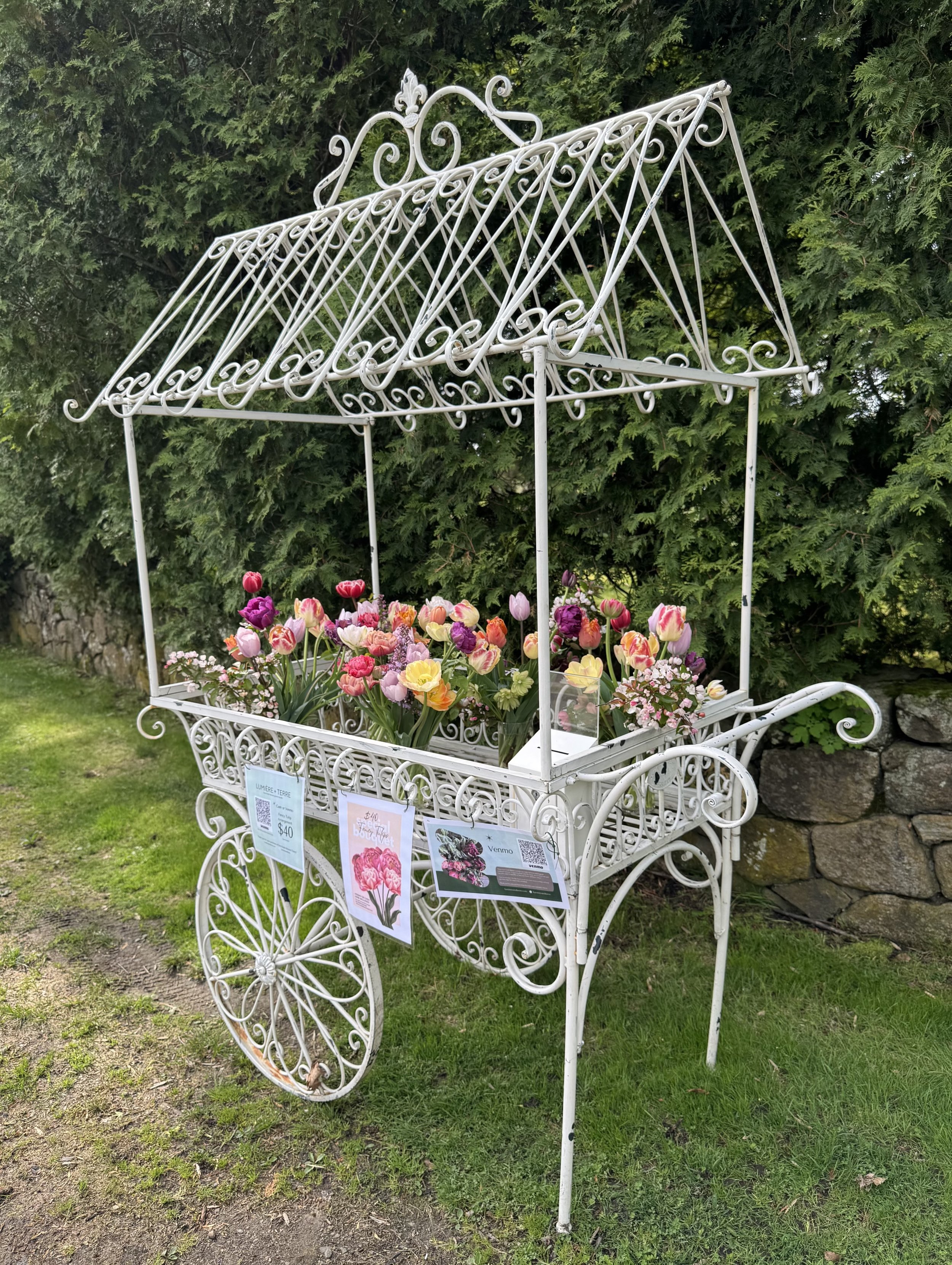 Mother’s Day Weekend Tulip Bloom Bar!