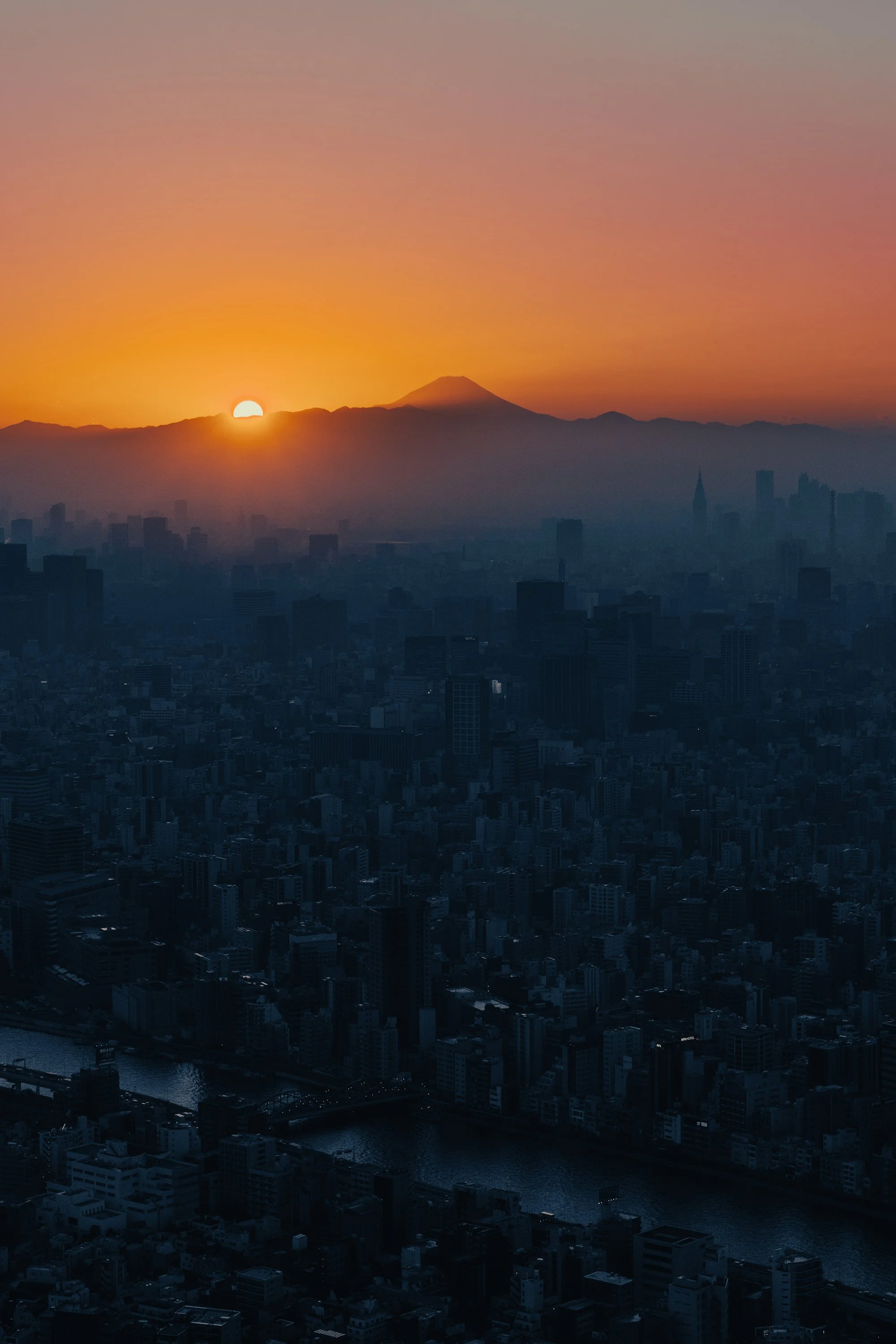 TOKYO-FUJI.jpg