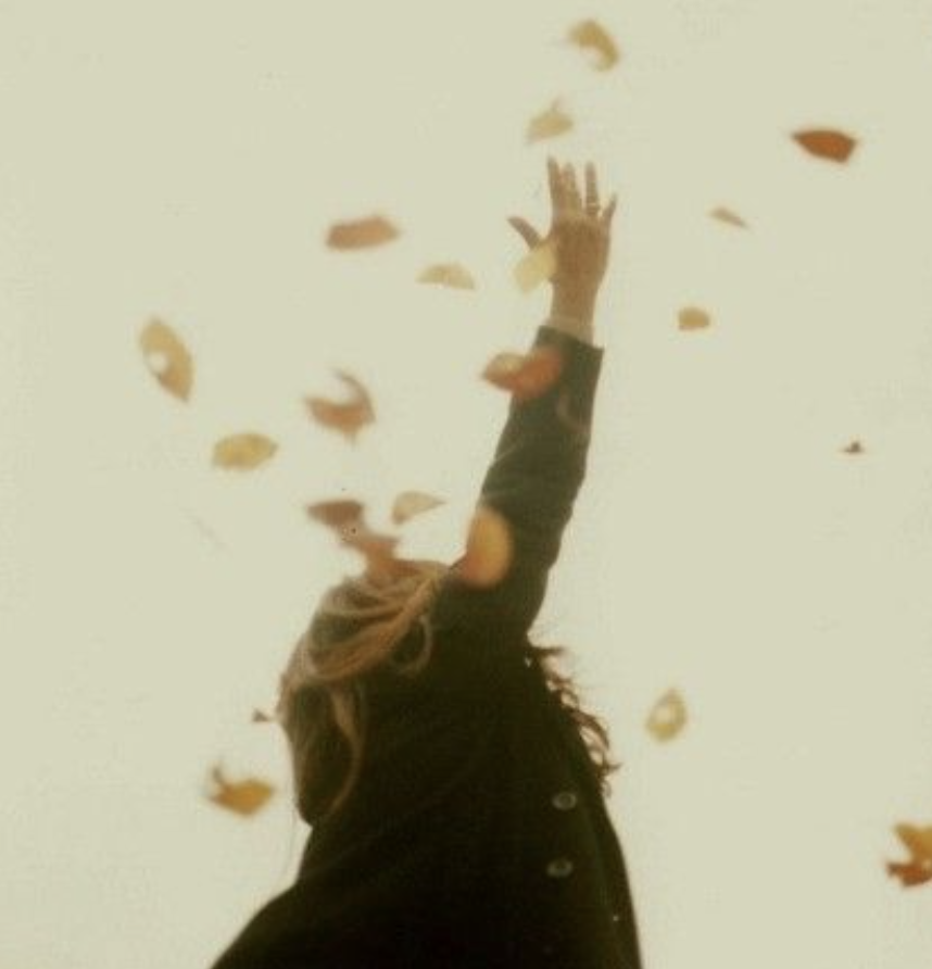 Settling Into Fall: A Little TCM Wisdom for the Season