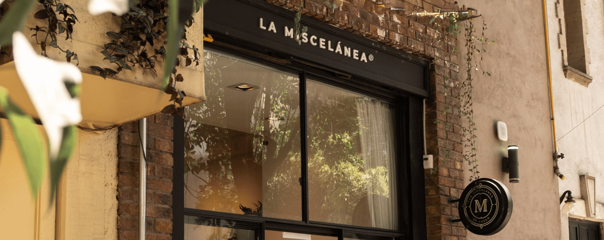 La_Miscelanea_de_Lusso_Marsella_CDMX.png