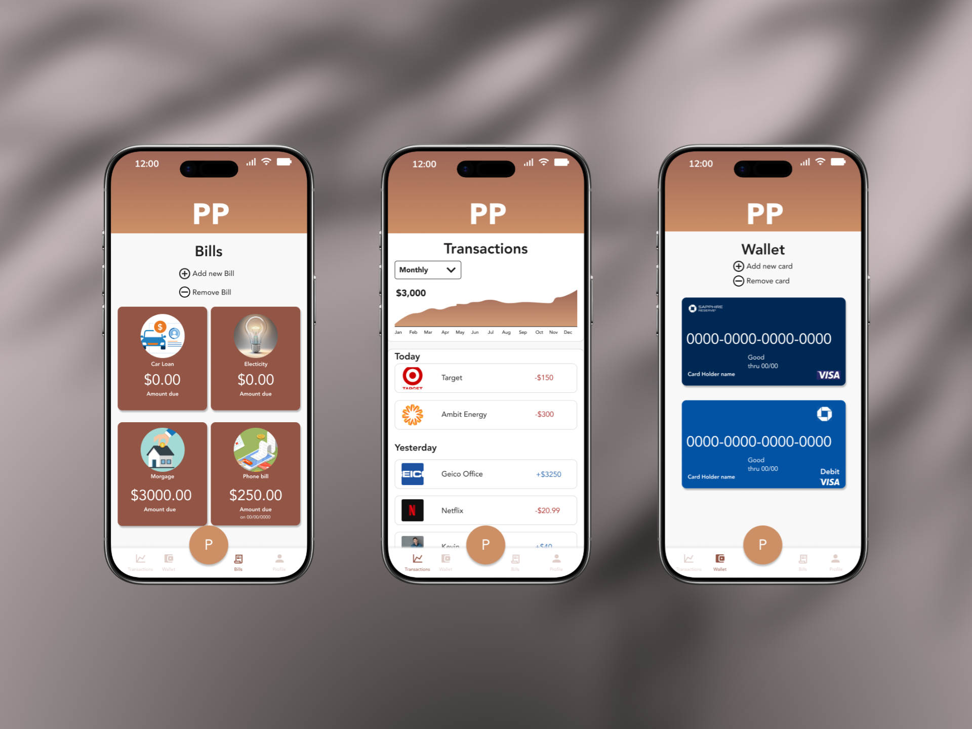 Pluto Pay : Conceptual Digital Fintech App